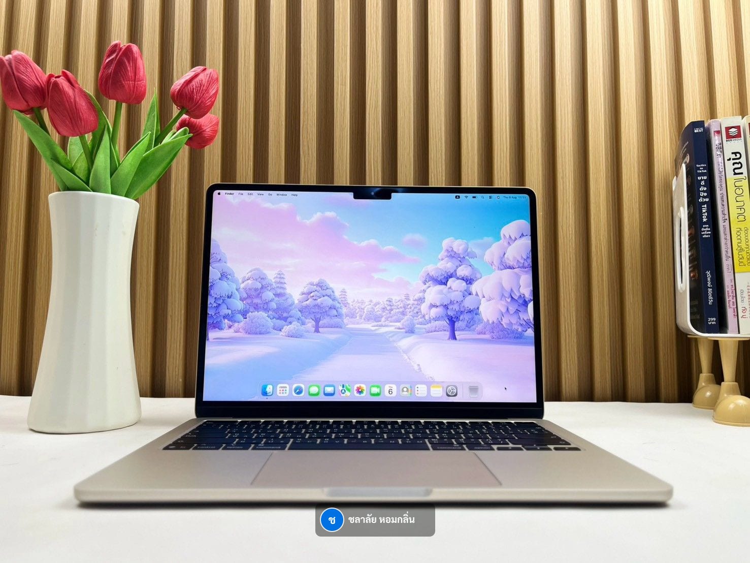 MacBook Air 13-inch, M4, 2025