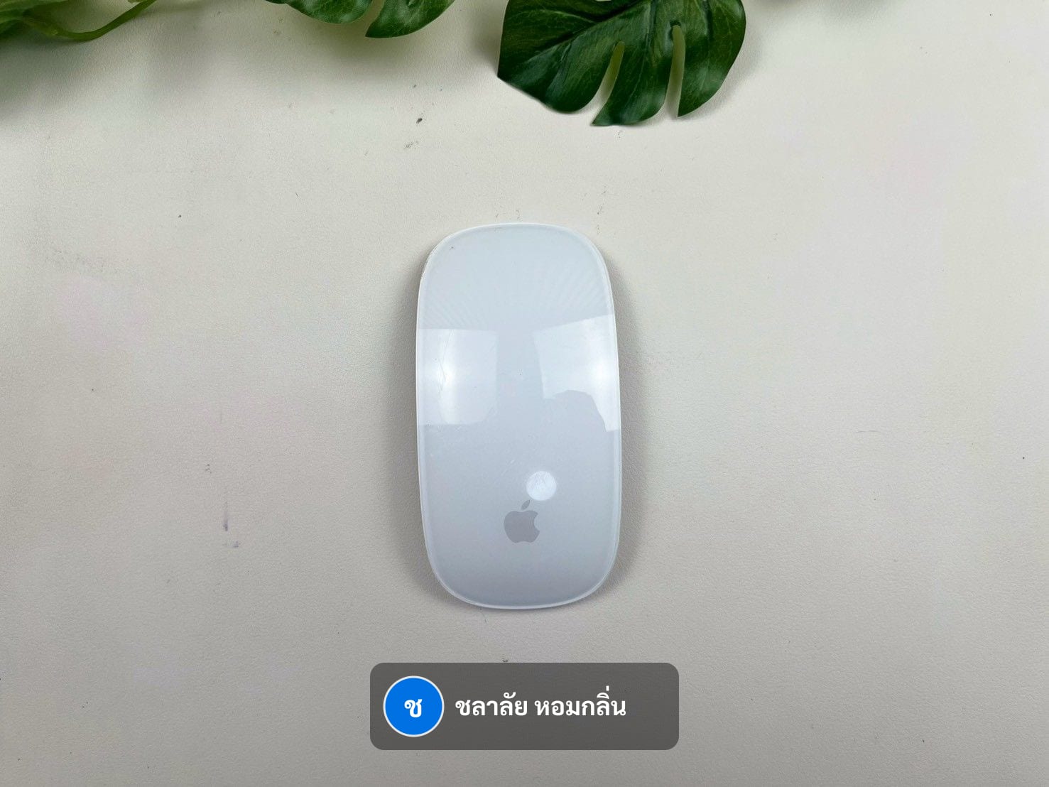 Magic Mouse