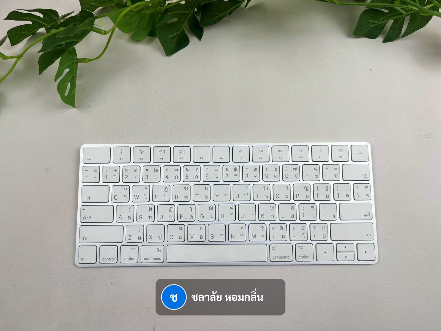 Magic Keyboard