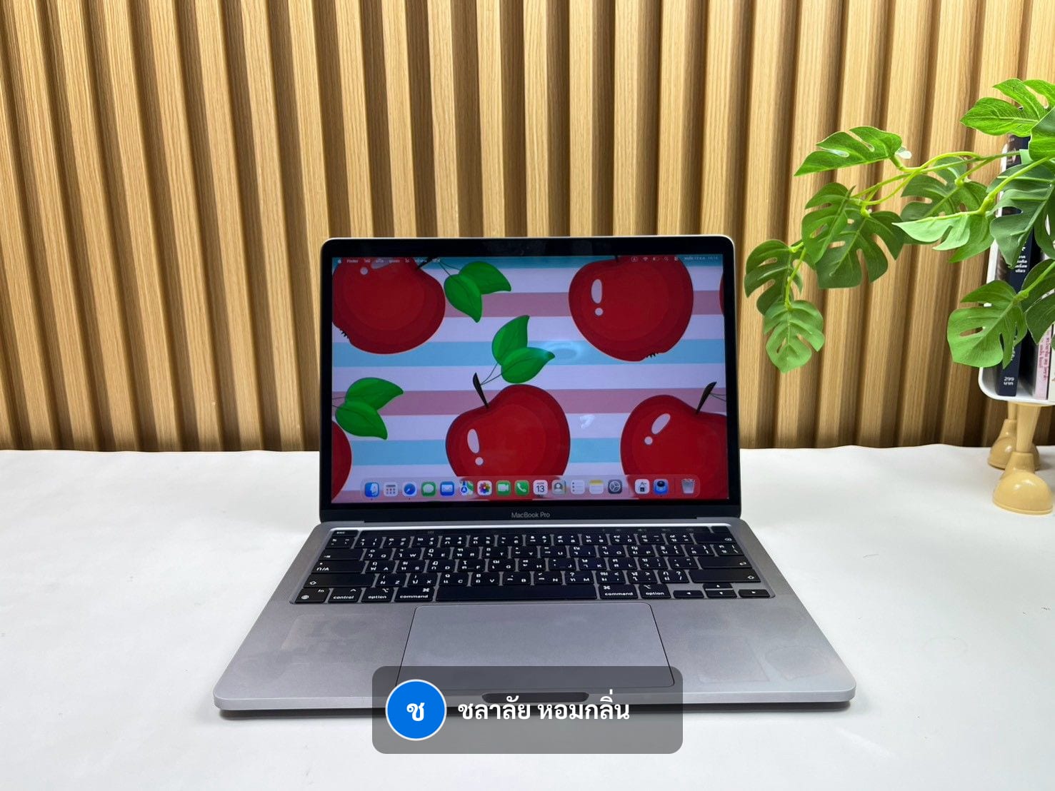 MacBook Pro 13-inch, M2, 2022