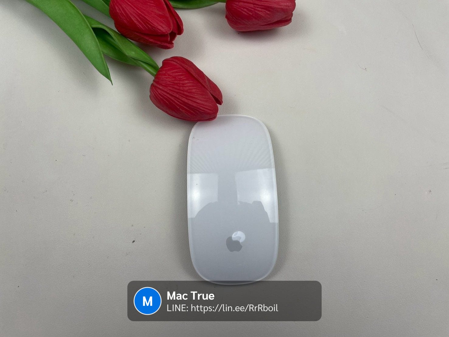 Magic Mouse