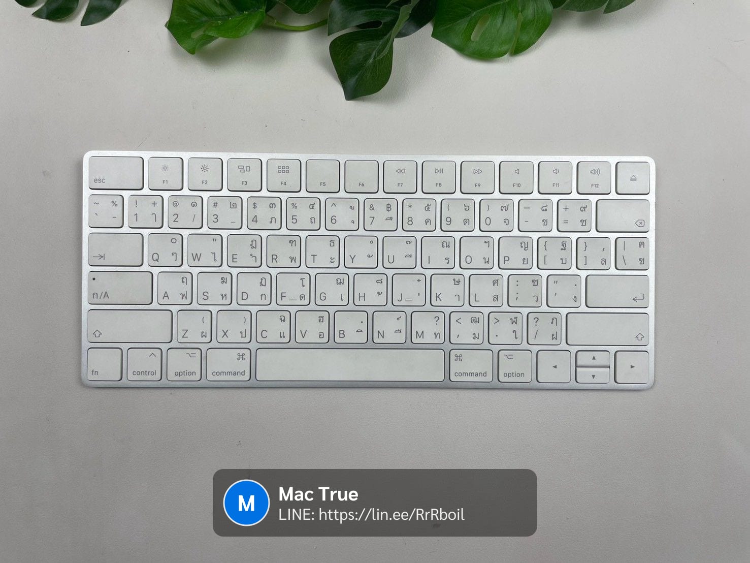 Magic Keyboard