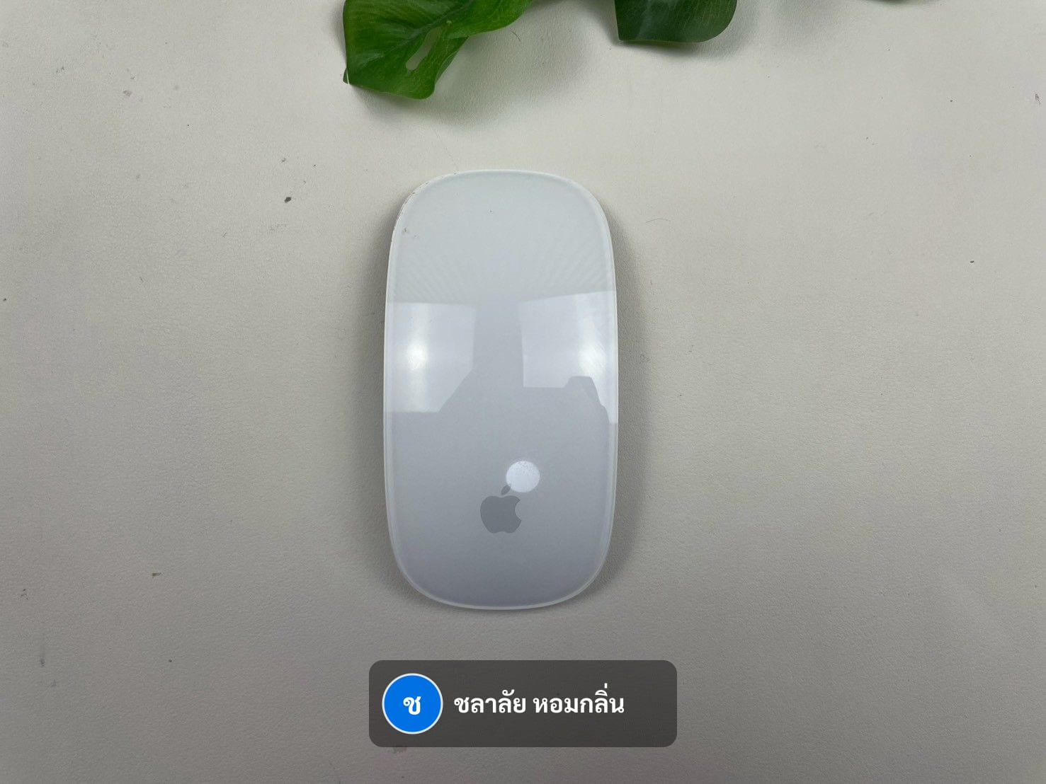 Magic Mouse