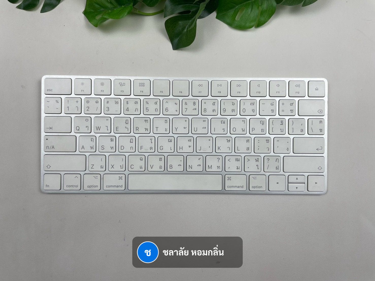 Magic Keyboard