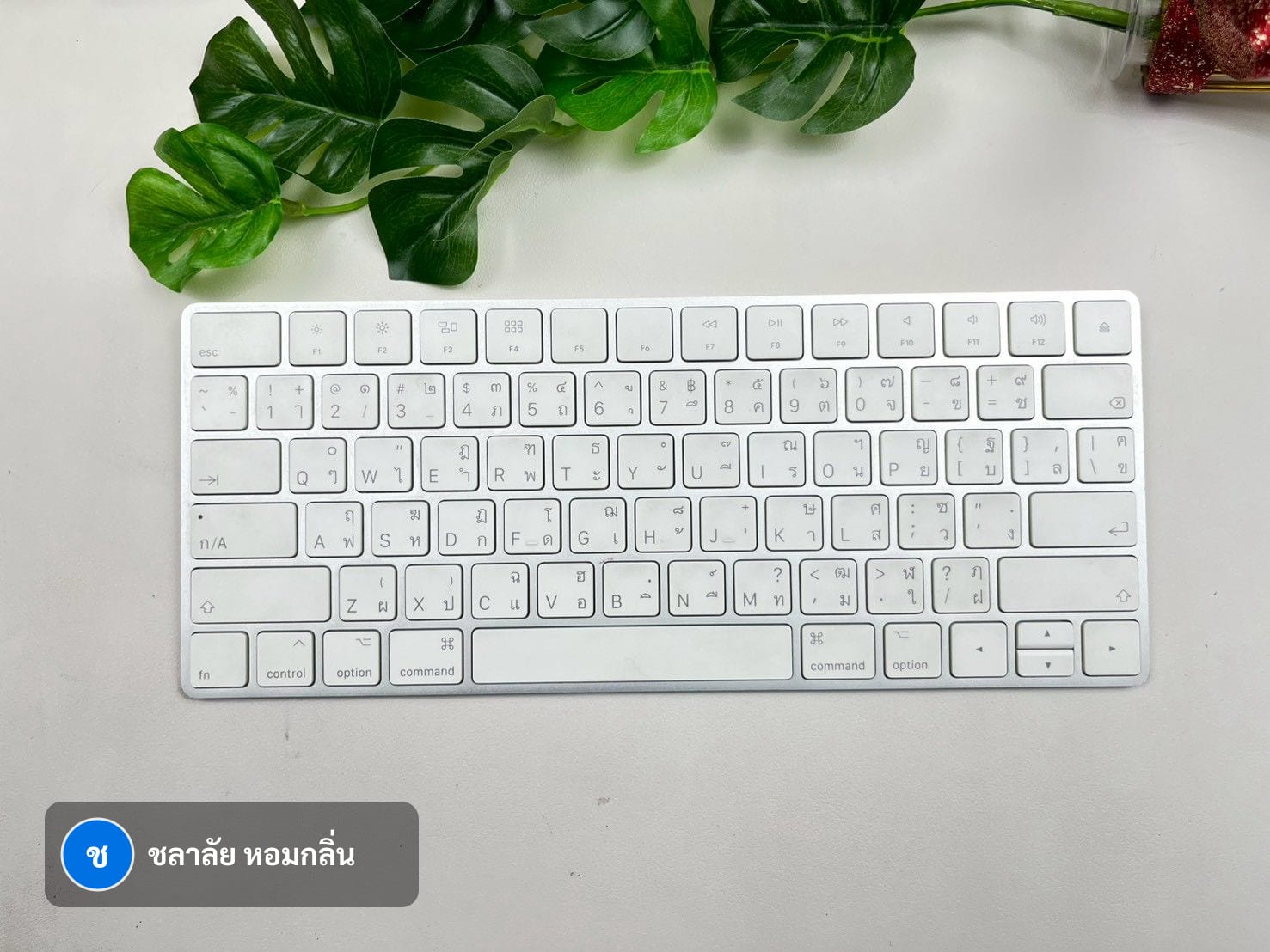 Magic Keyboard