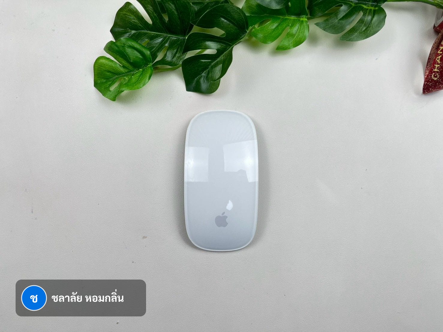 Magic Mouse