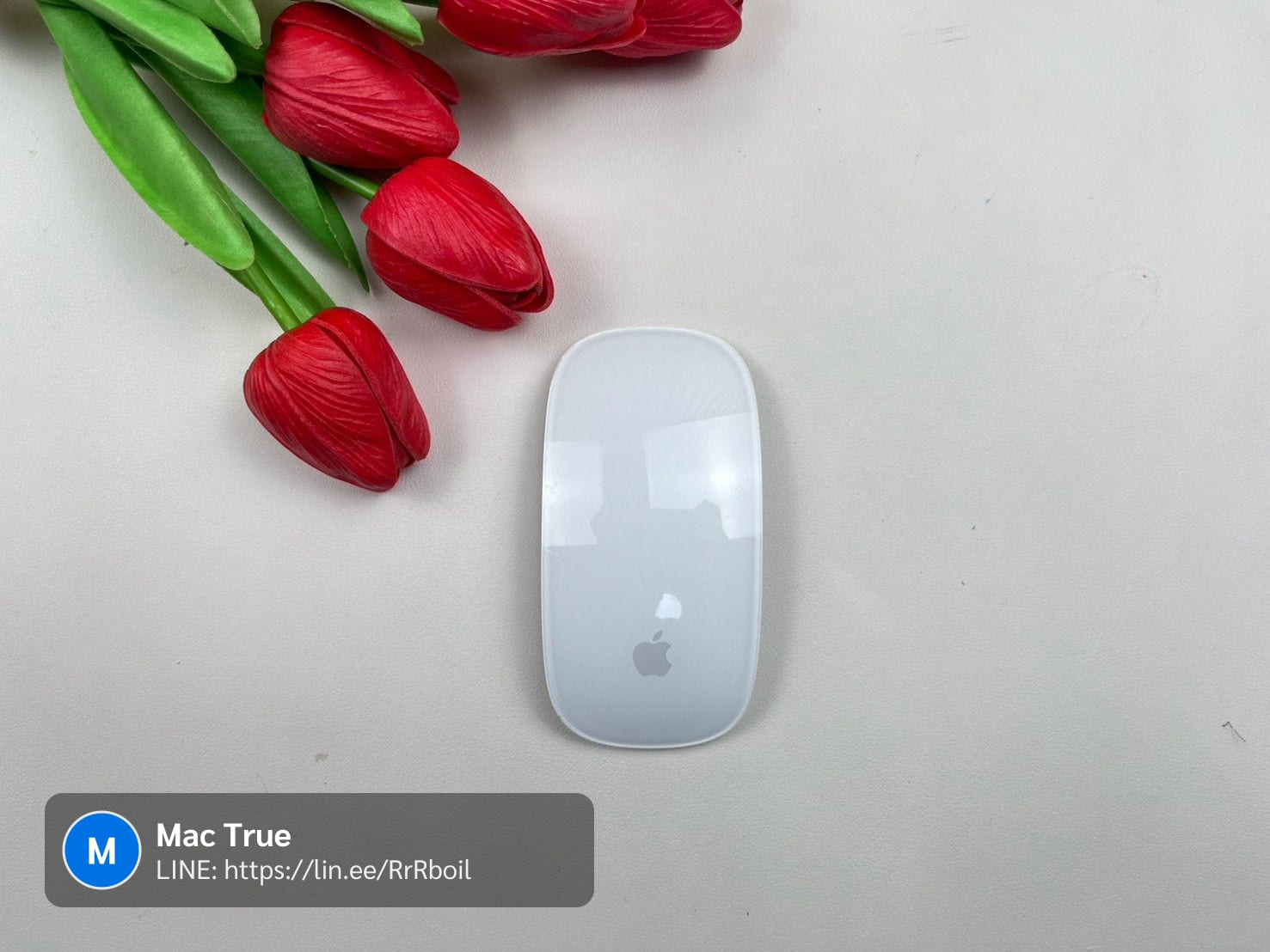 Magic Mouse