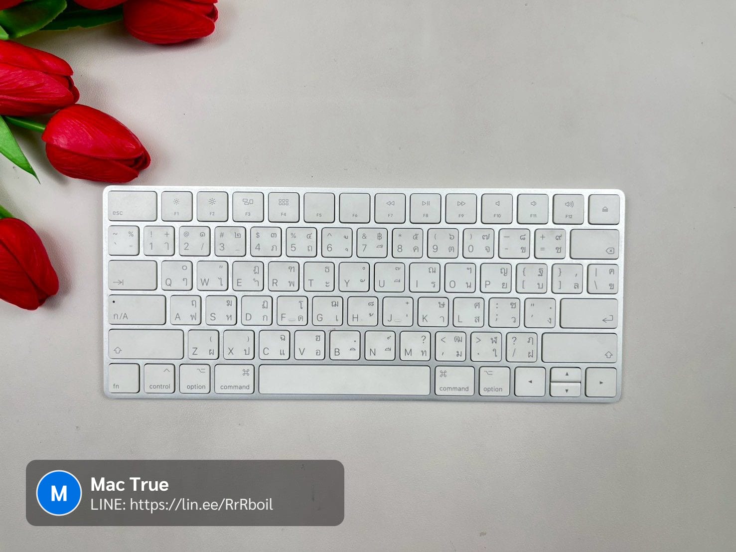 Magic Keyboard