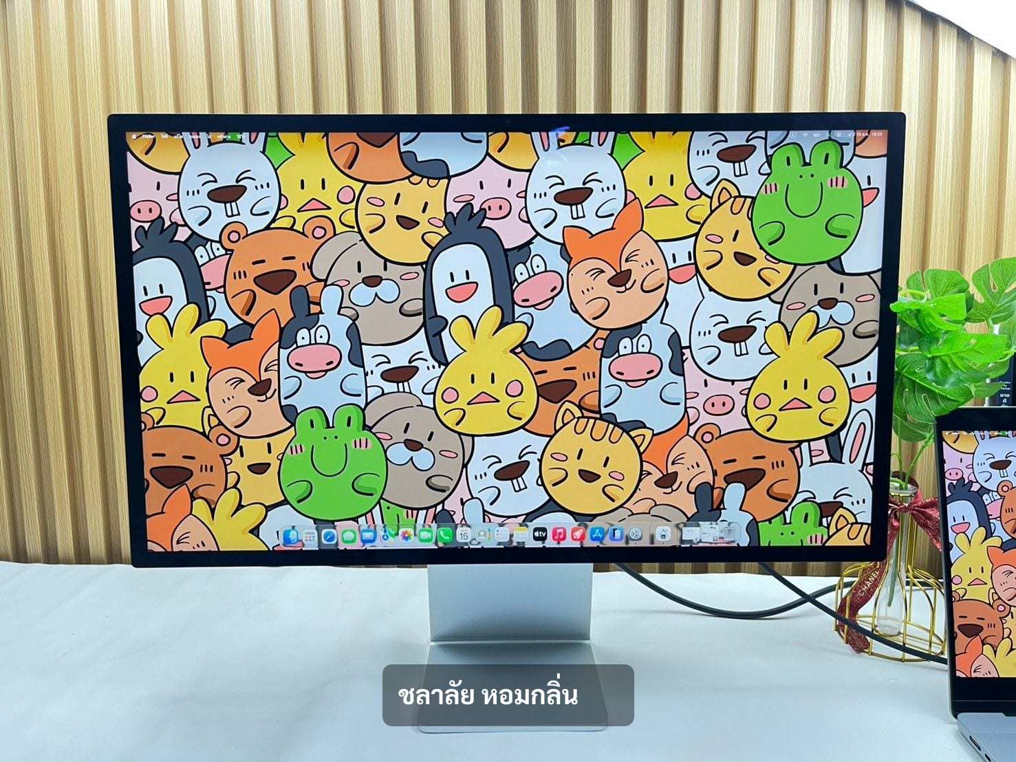 Studio Display (2022) 27" 2022