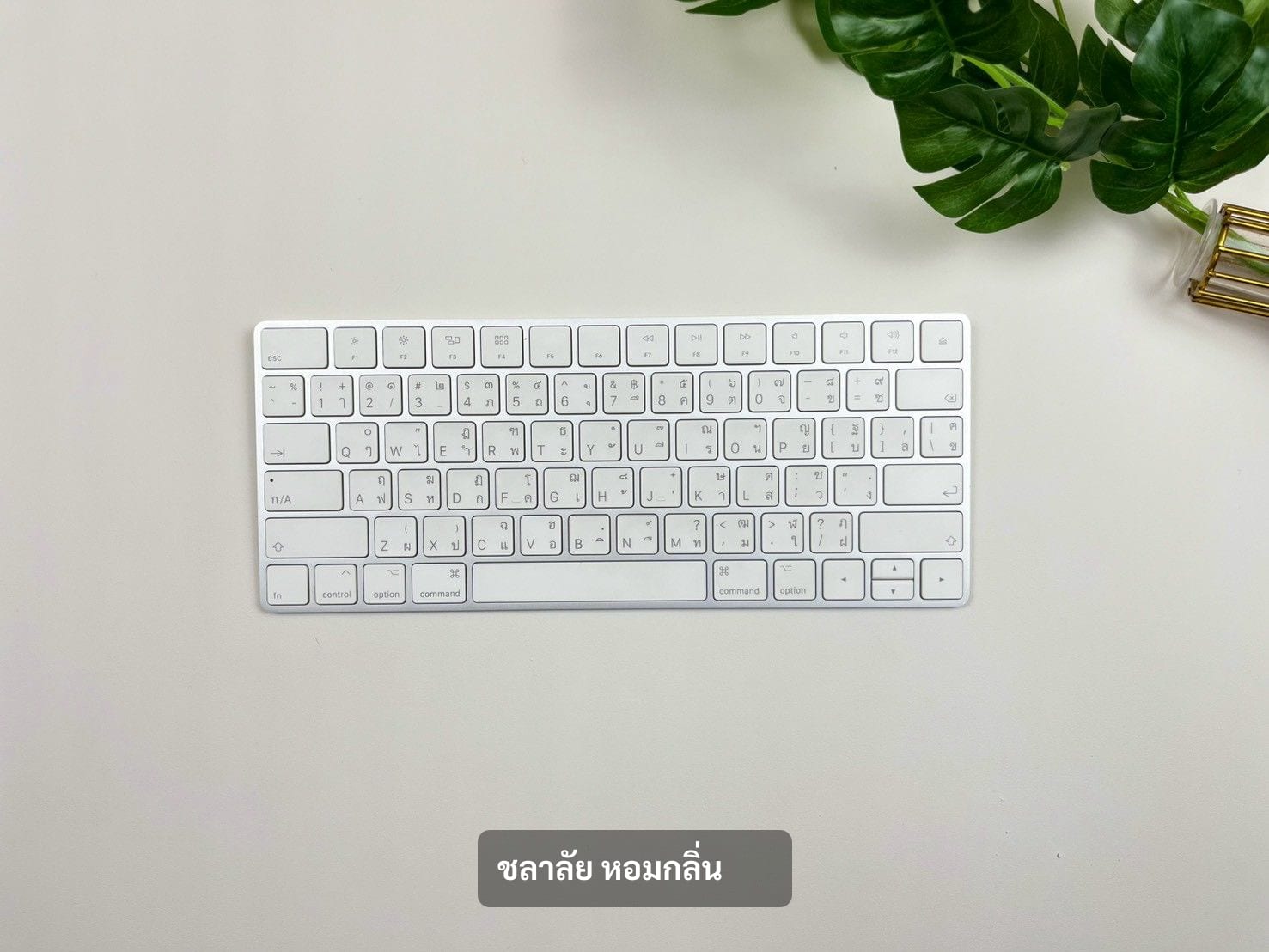 Magic Keyboard