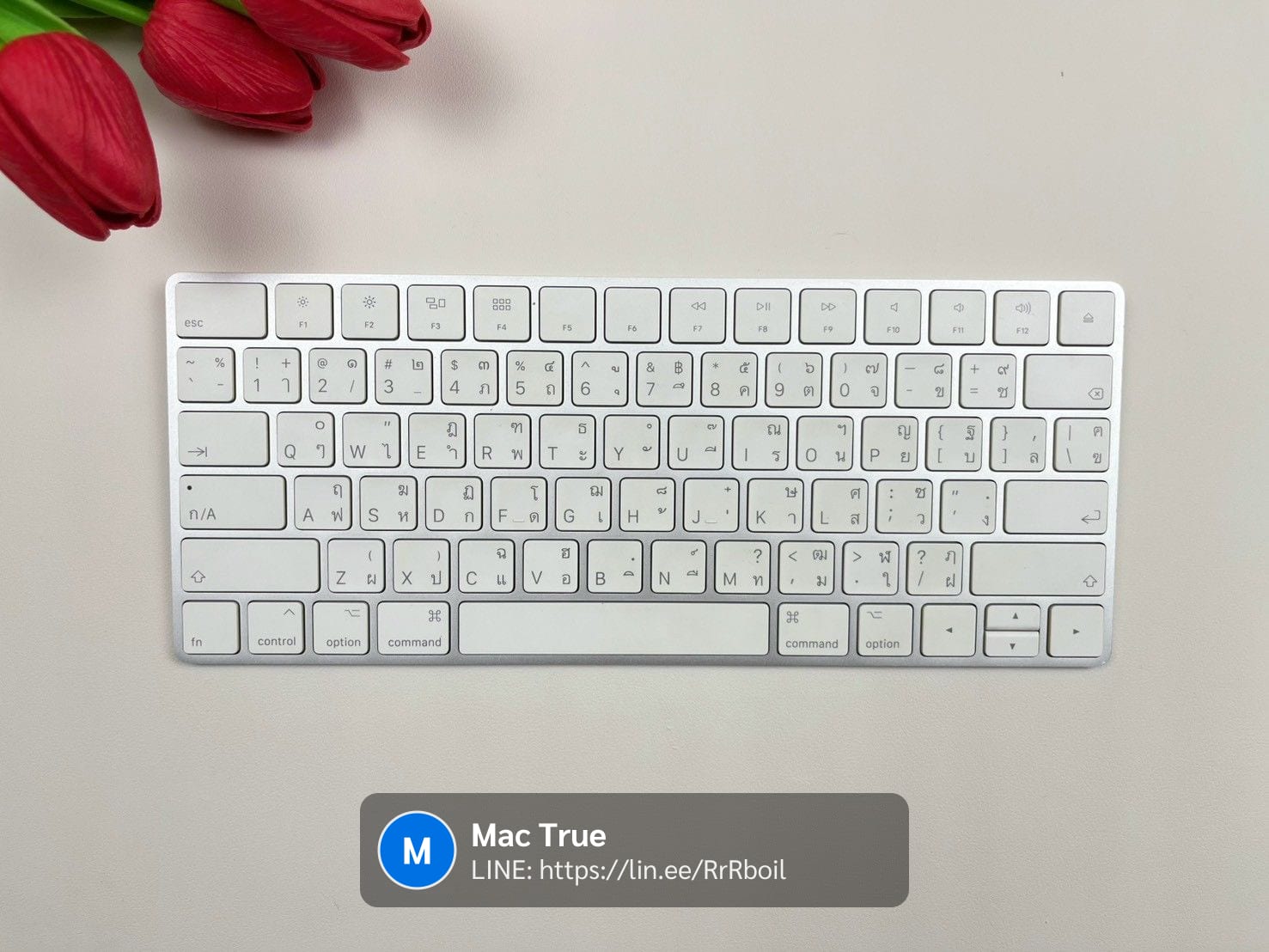 Magic Keyboard