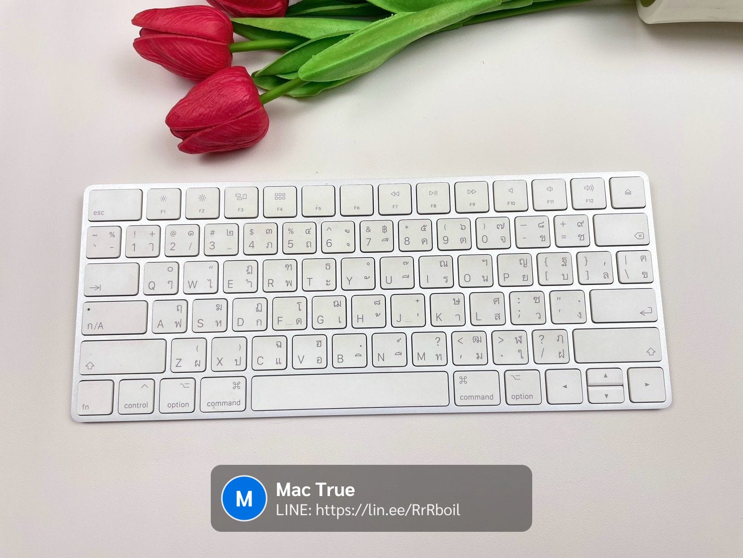 Magic Keyboard