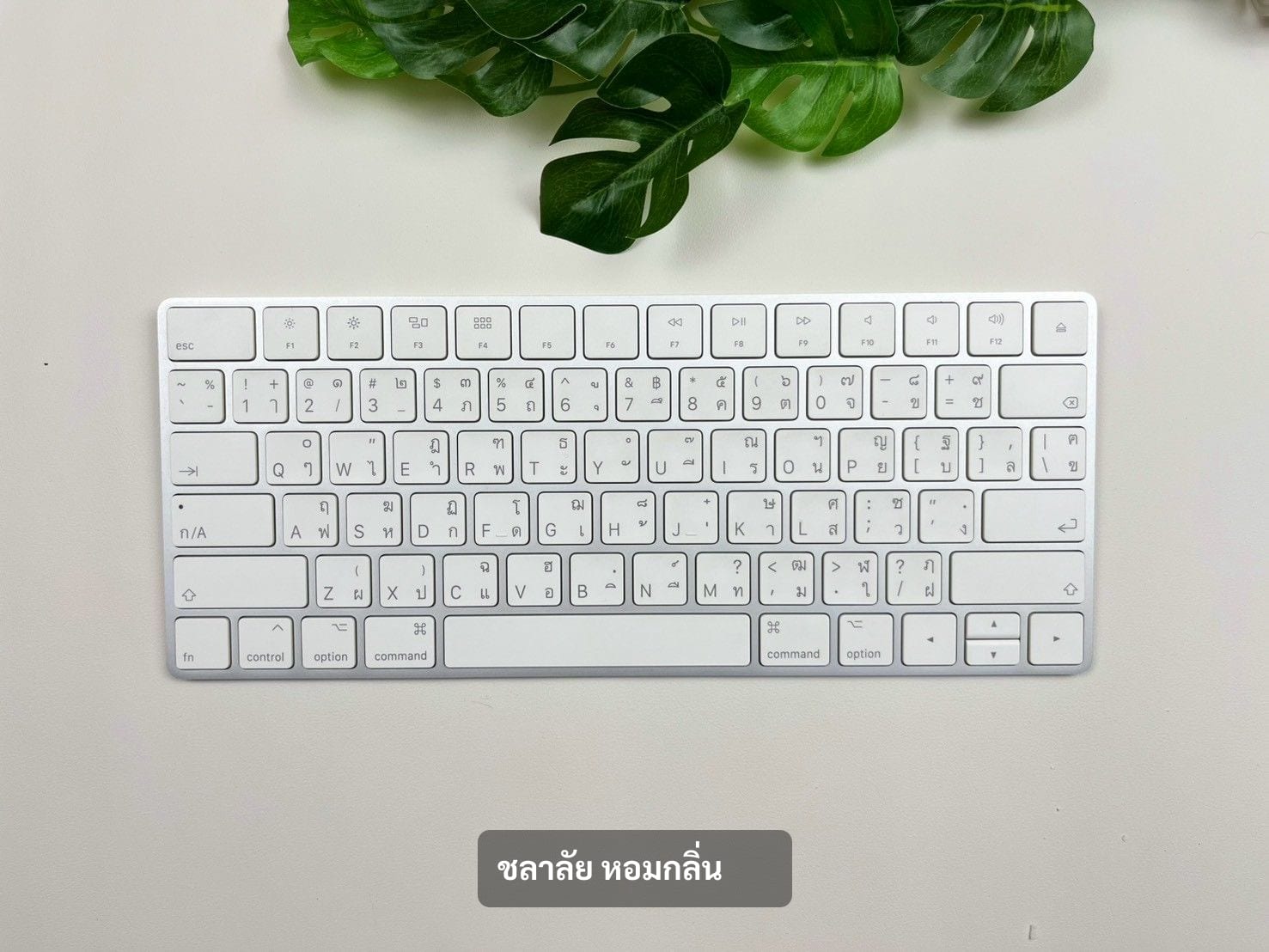 Magic Keyboard