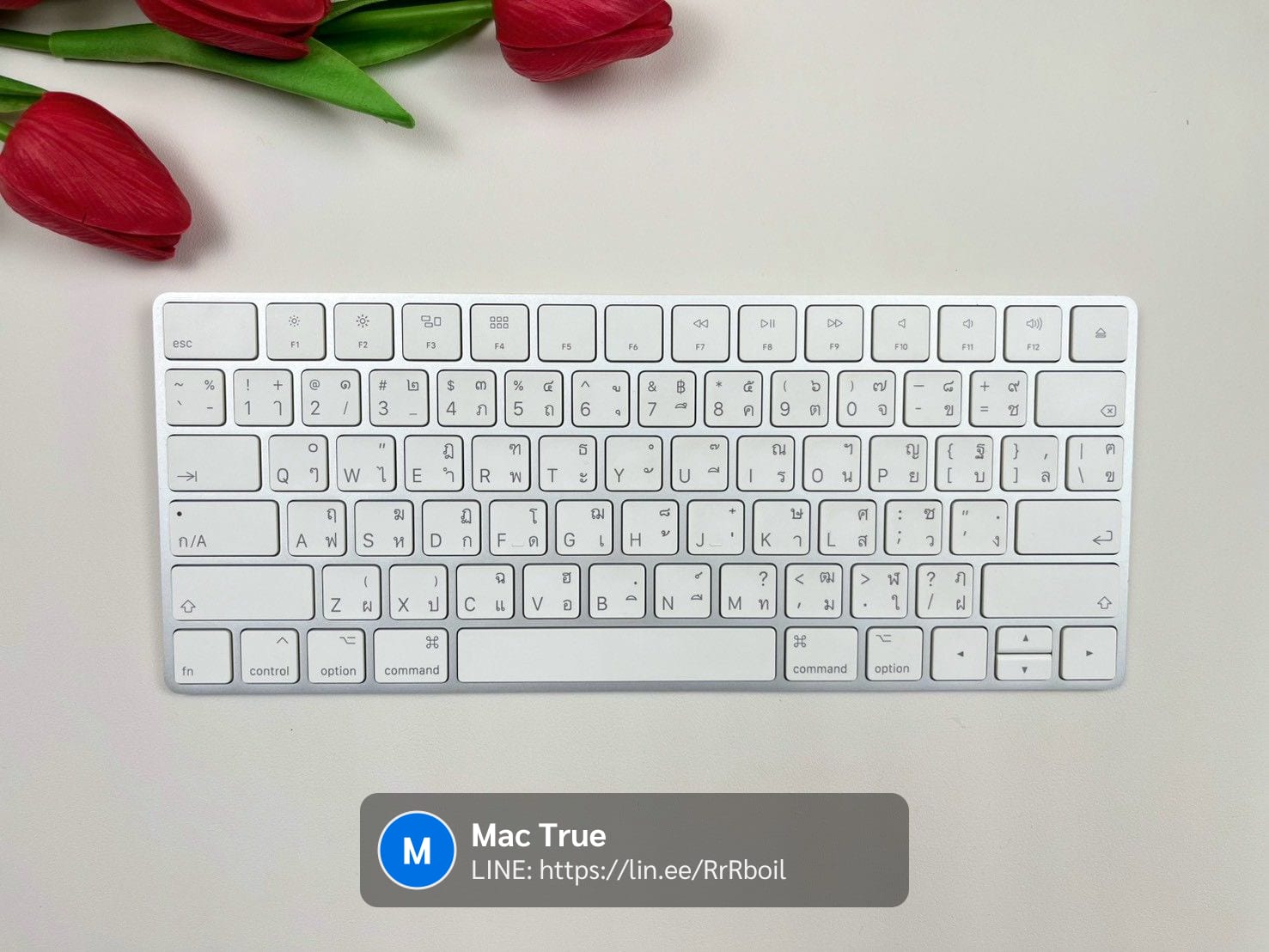Magic Keyboard