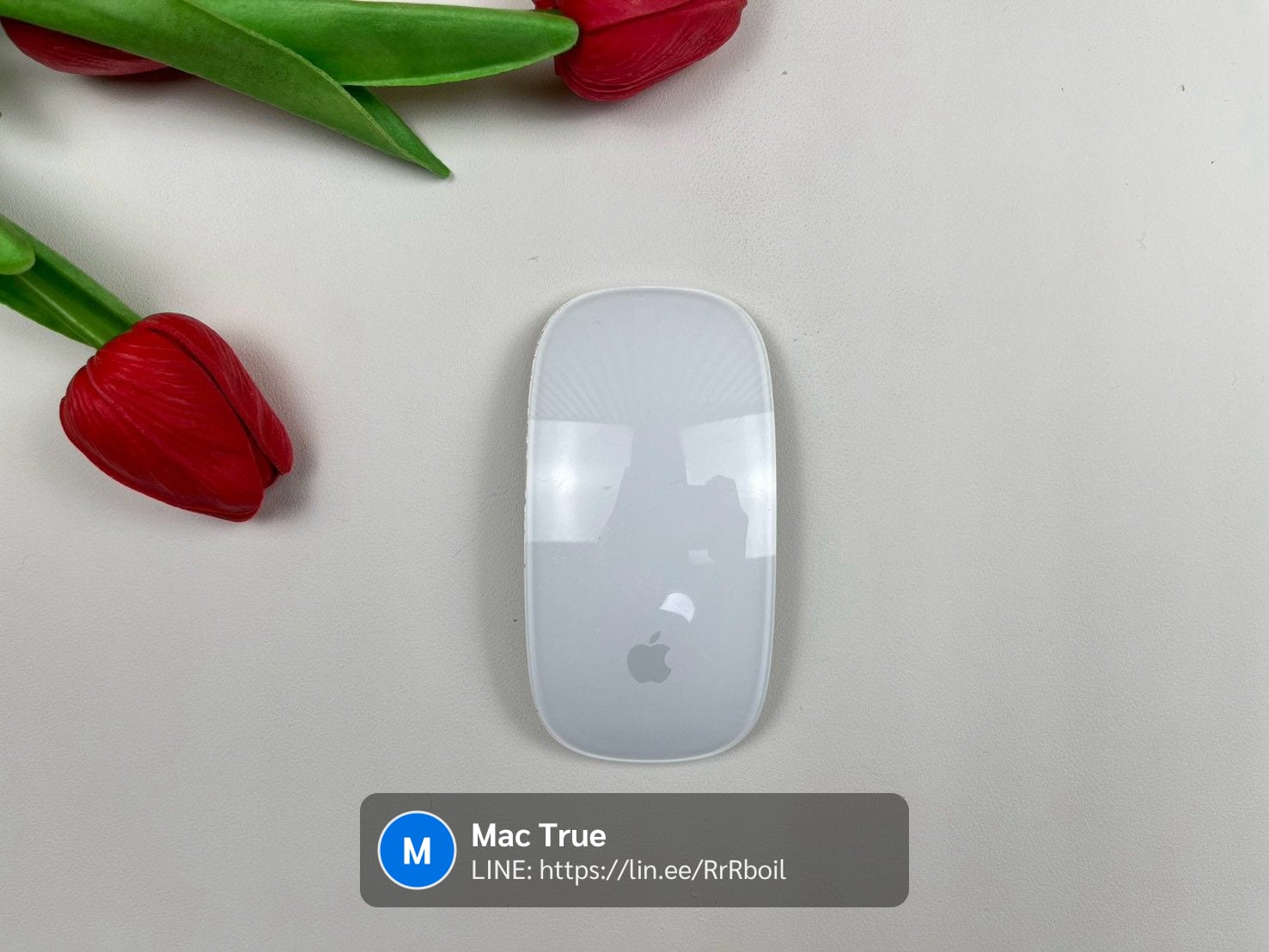 Magic Mouse