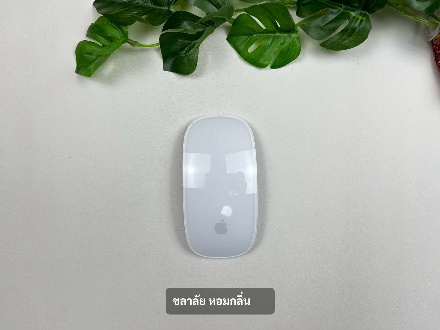 Magic Mouse