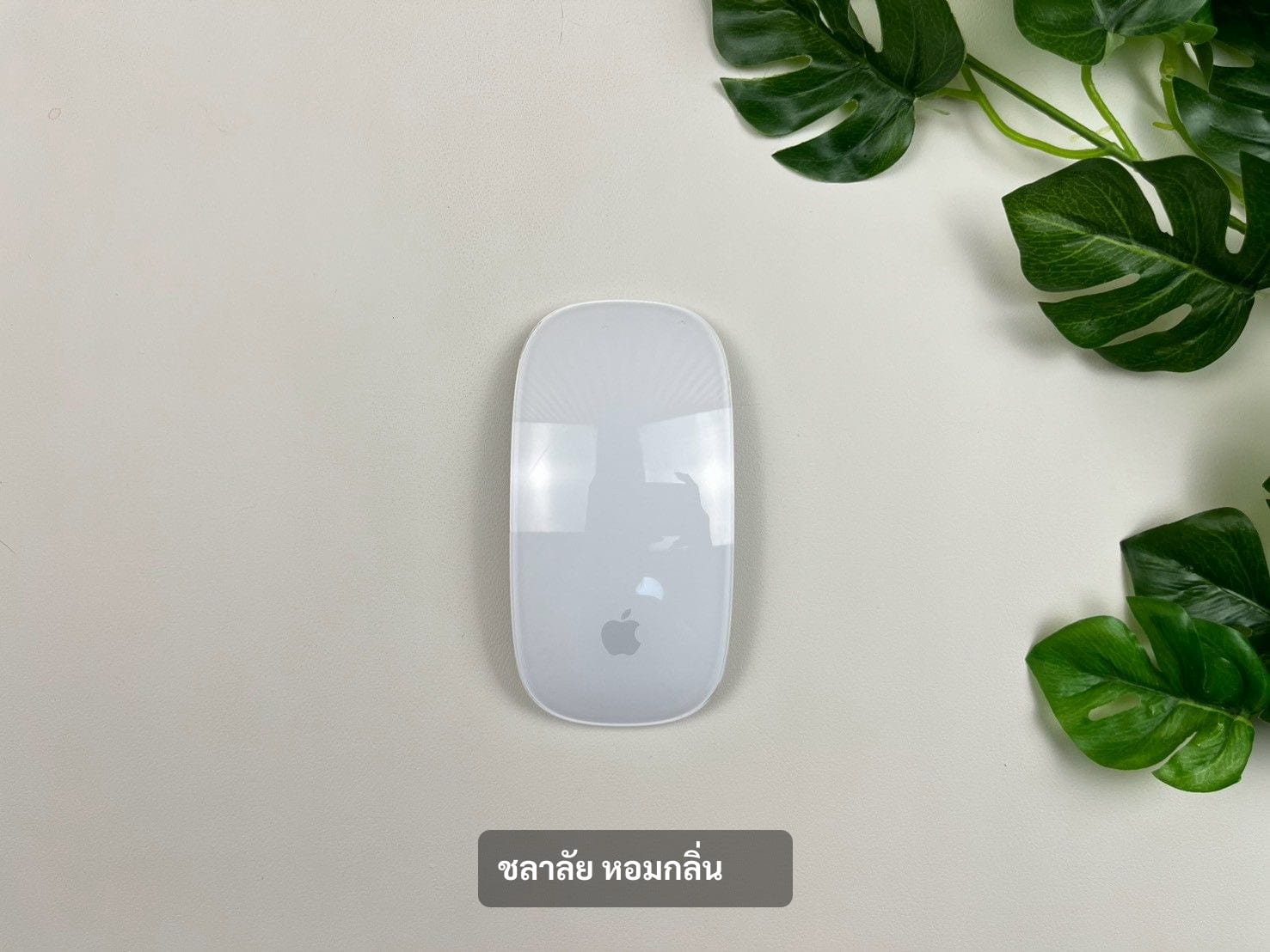 Magic Mouse
