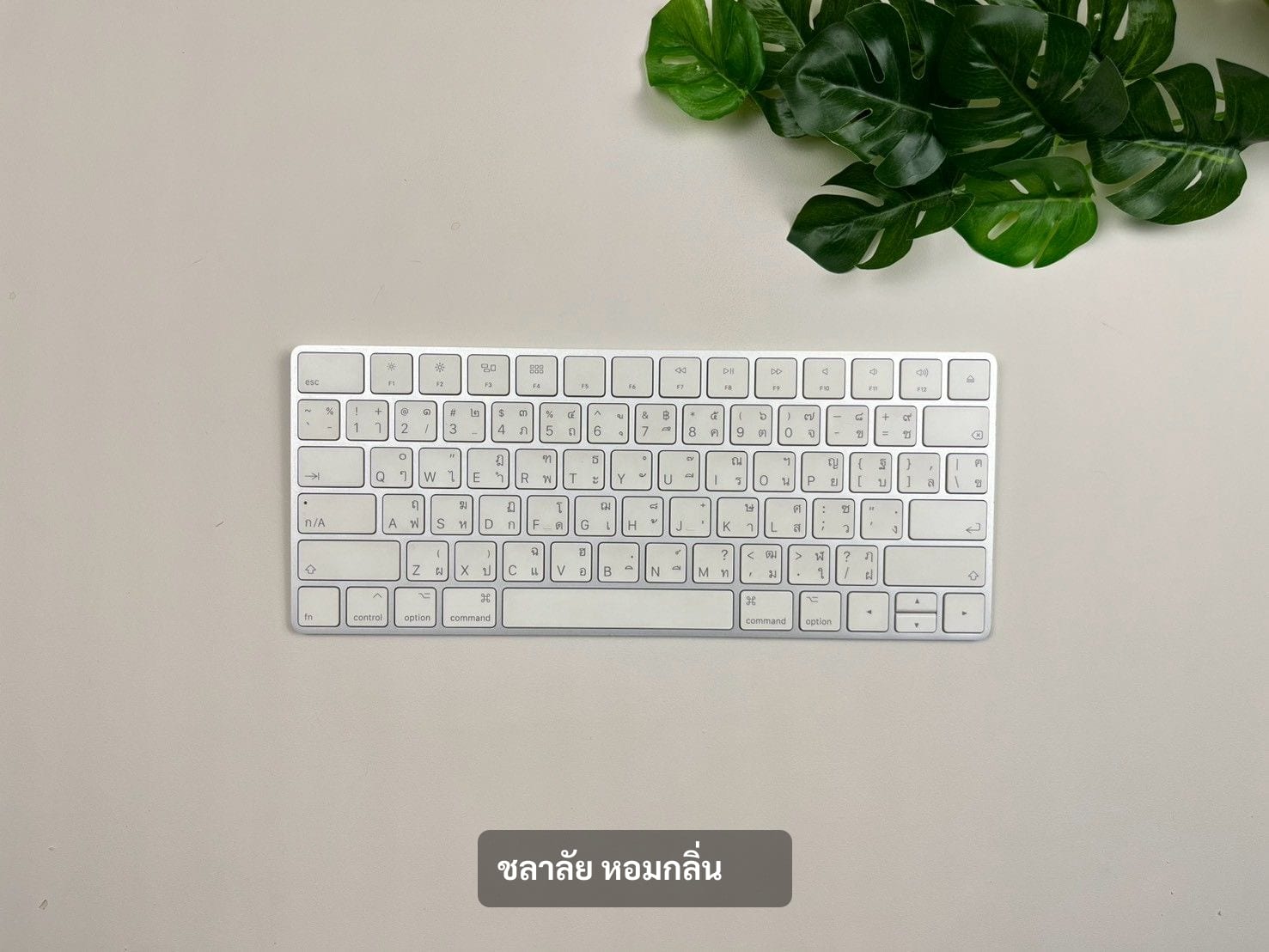 Magic Keyboard