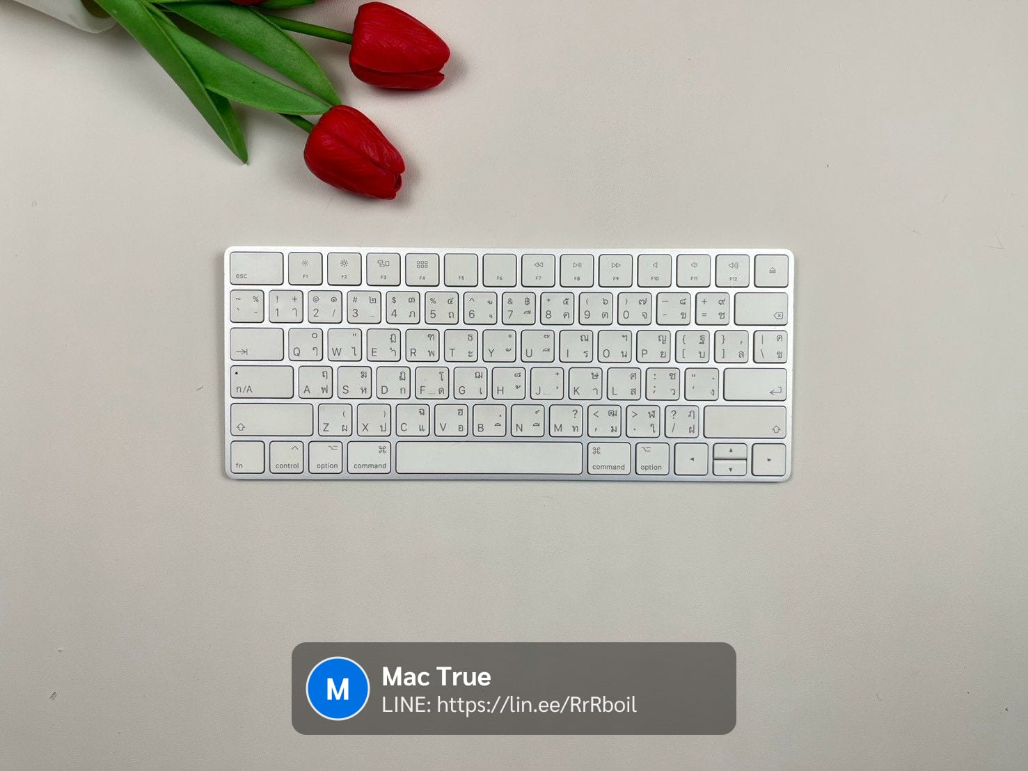 Magic Keyboard