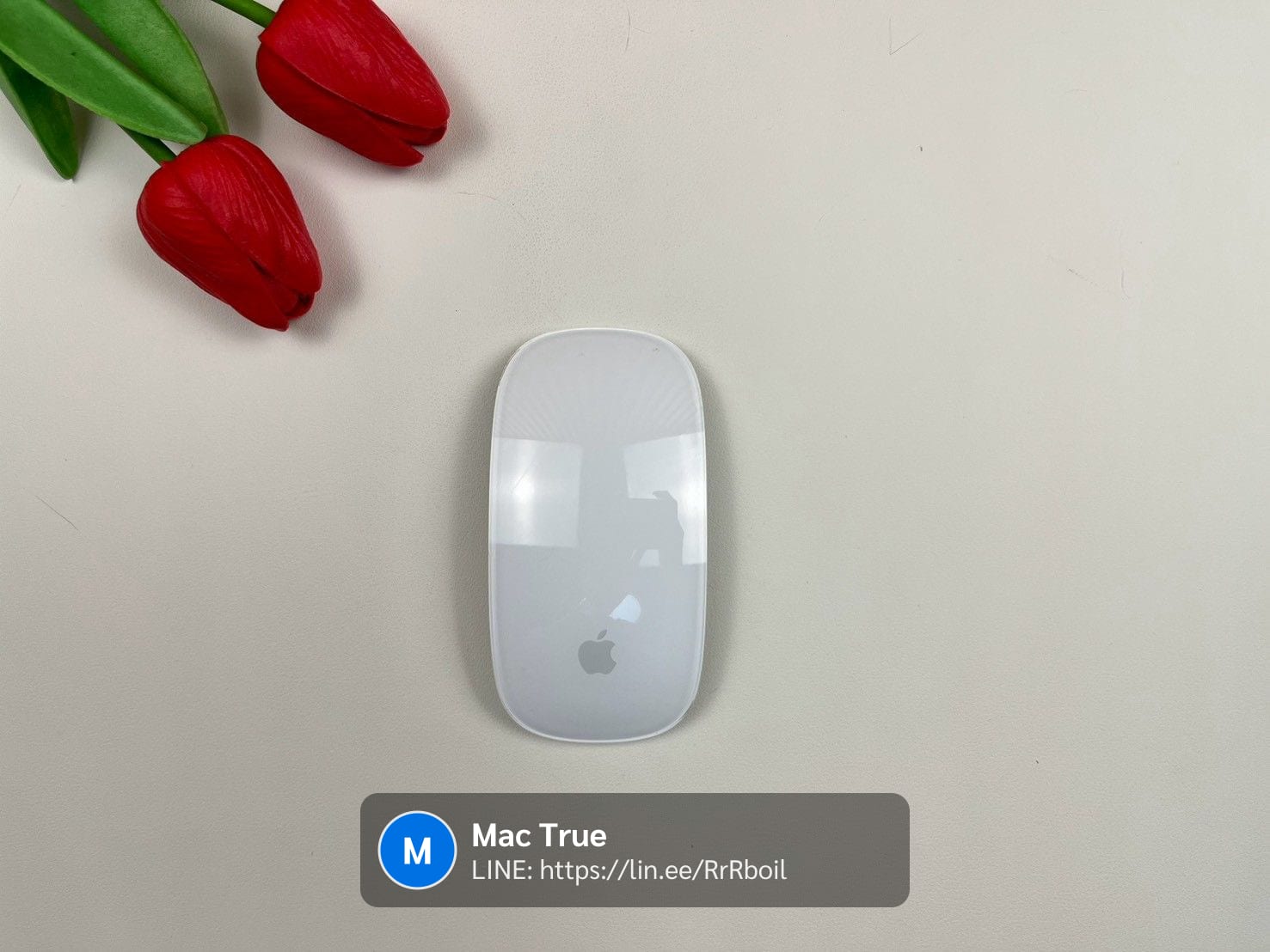 Magic Mouse