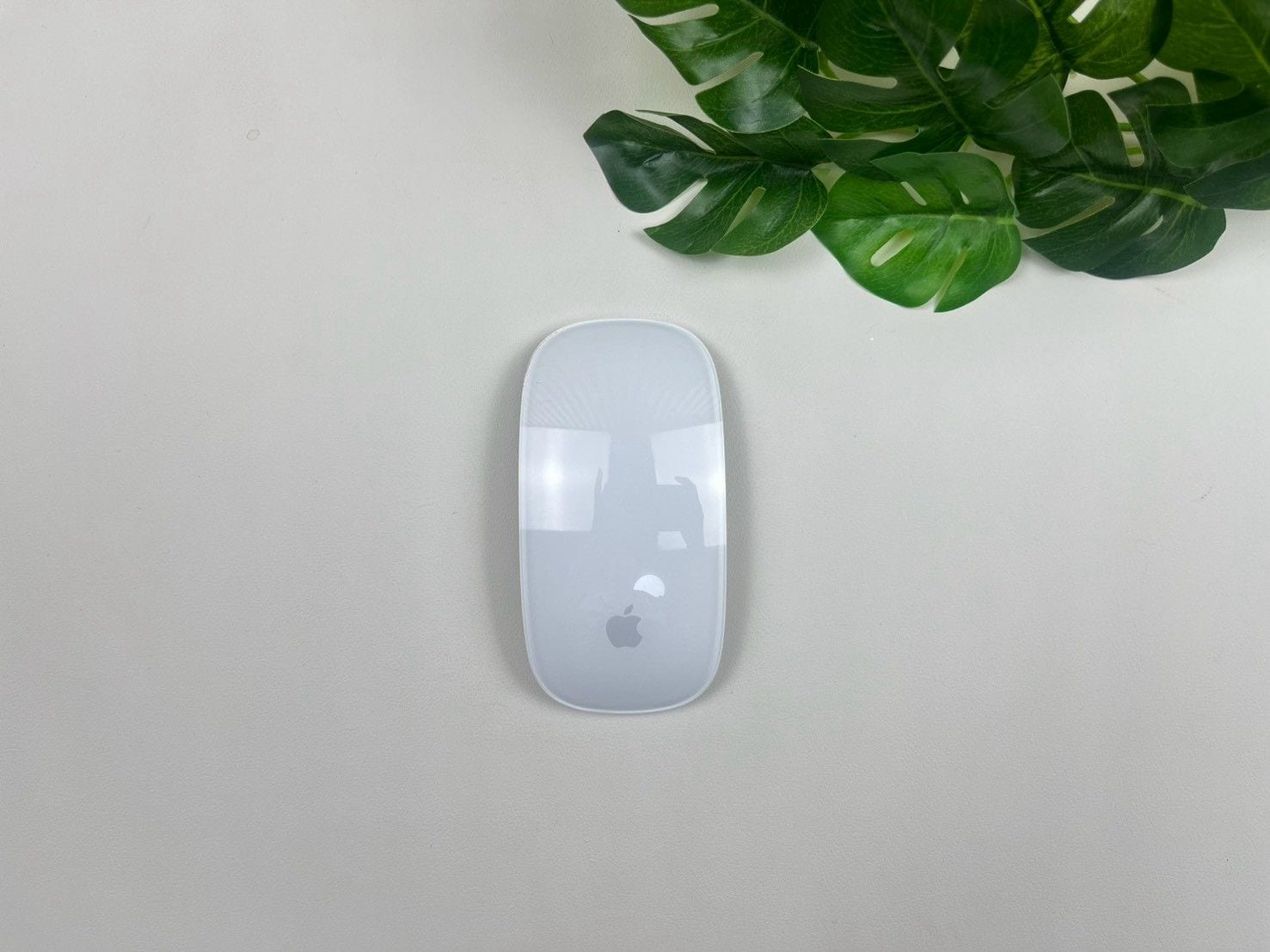 Magic Mouse
