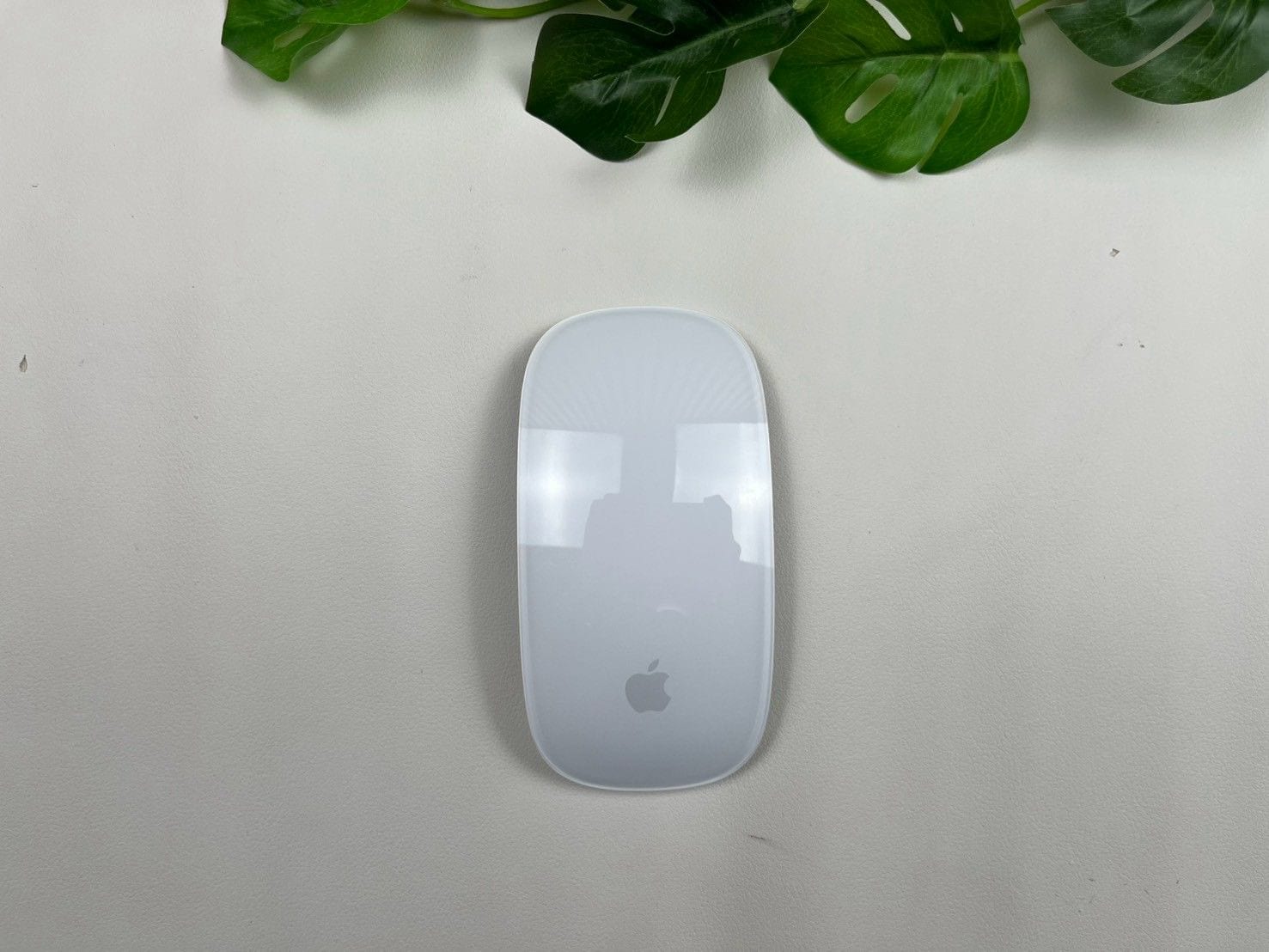 Magic Mouse