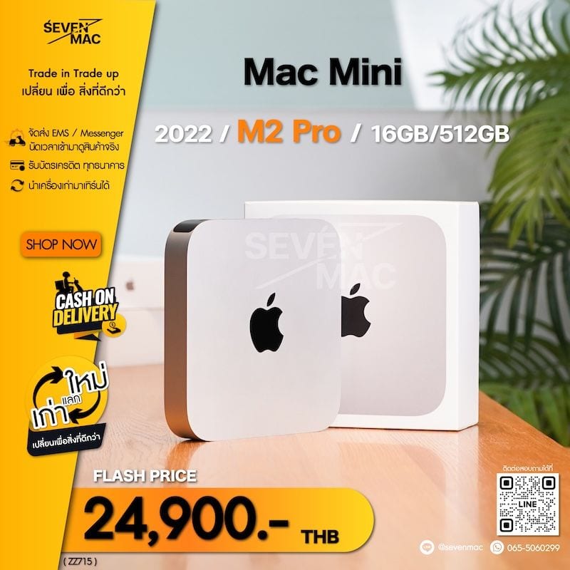 Mac mini (M2 Pro, 2023)