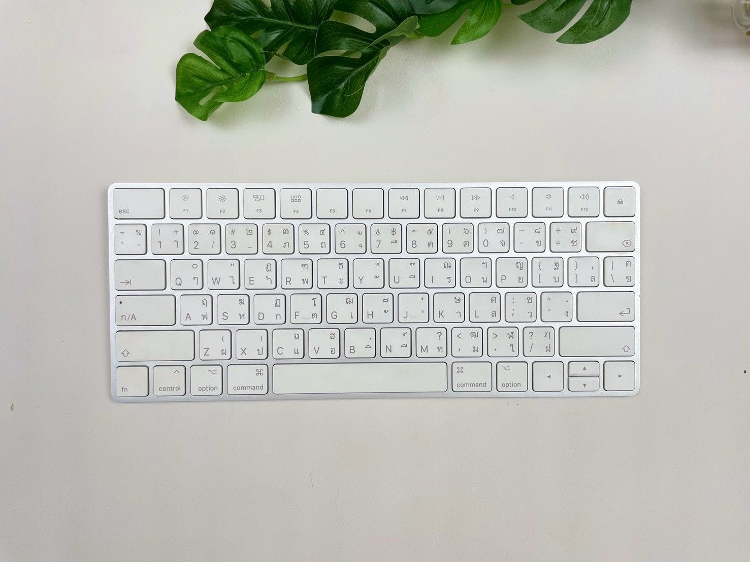 Magic Keyboard