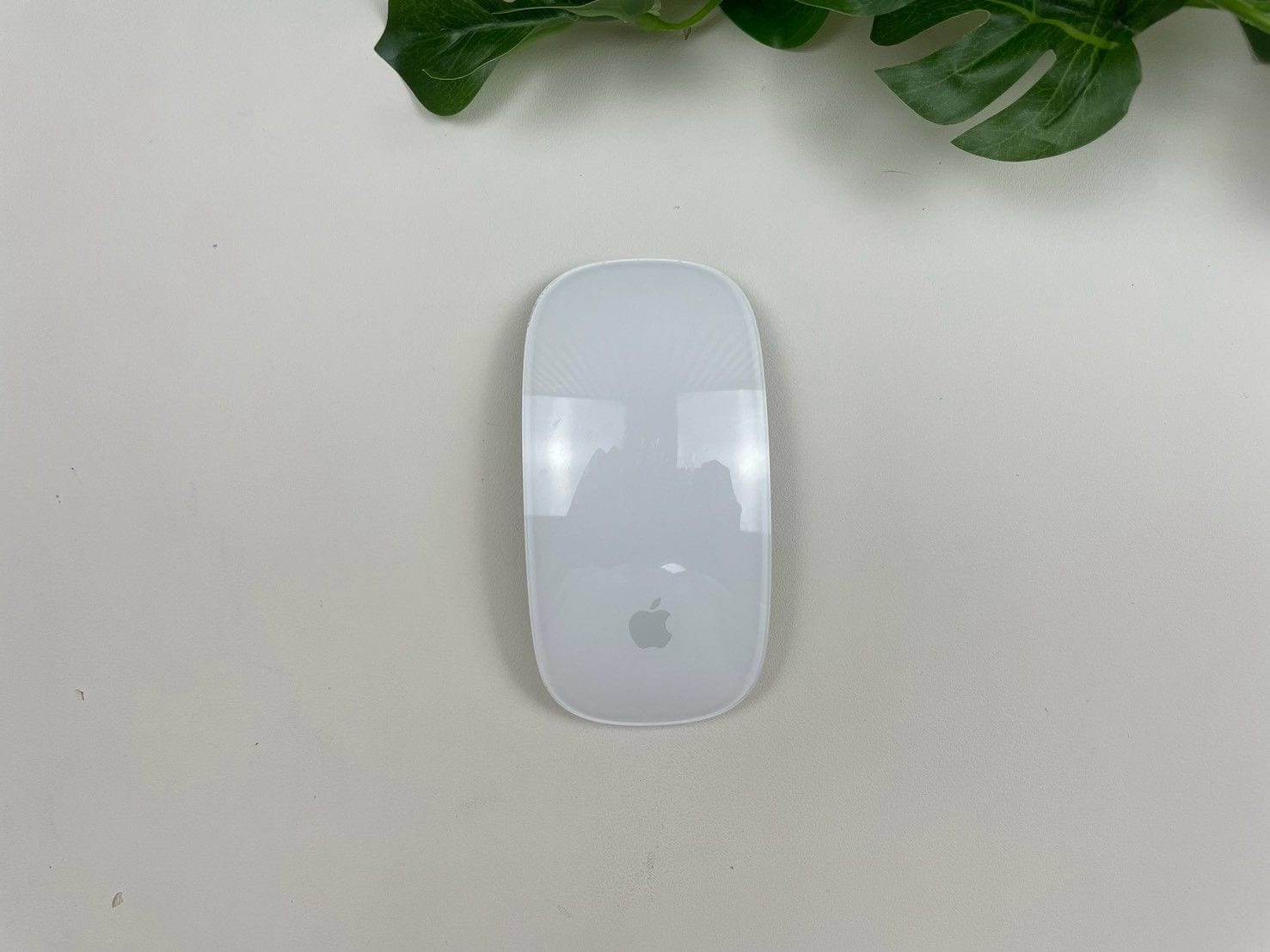 Magic Mouse