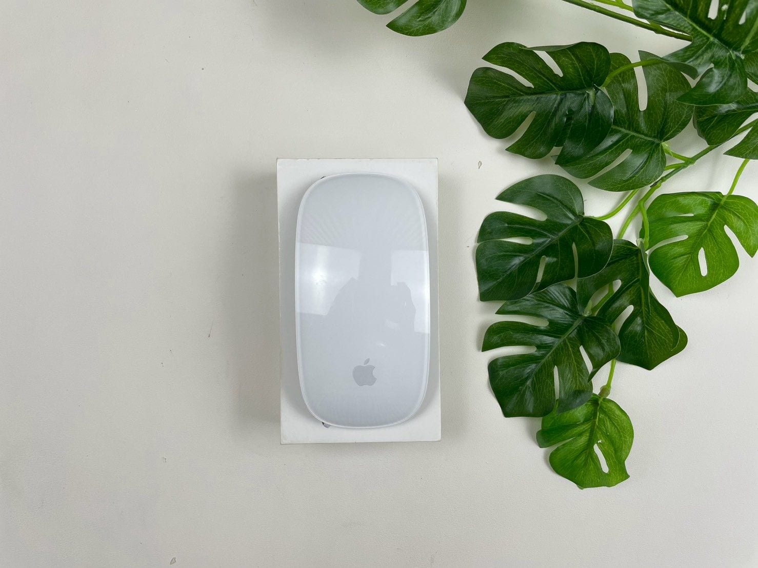 Magic Mouse