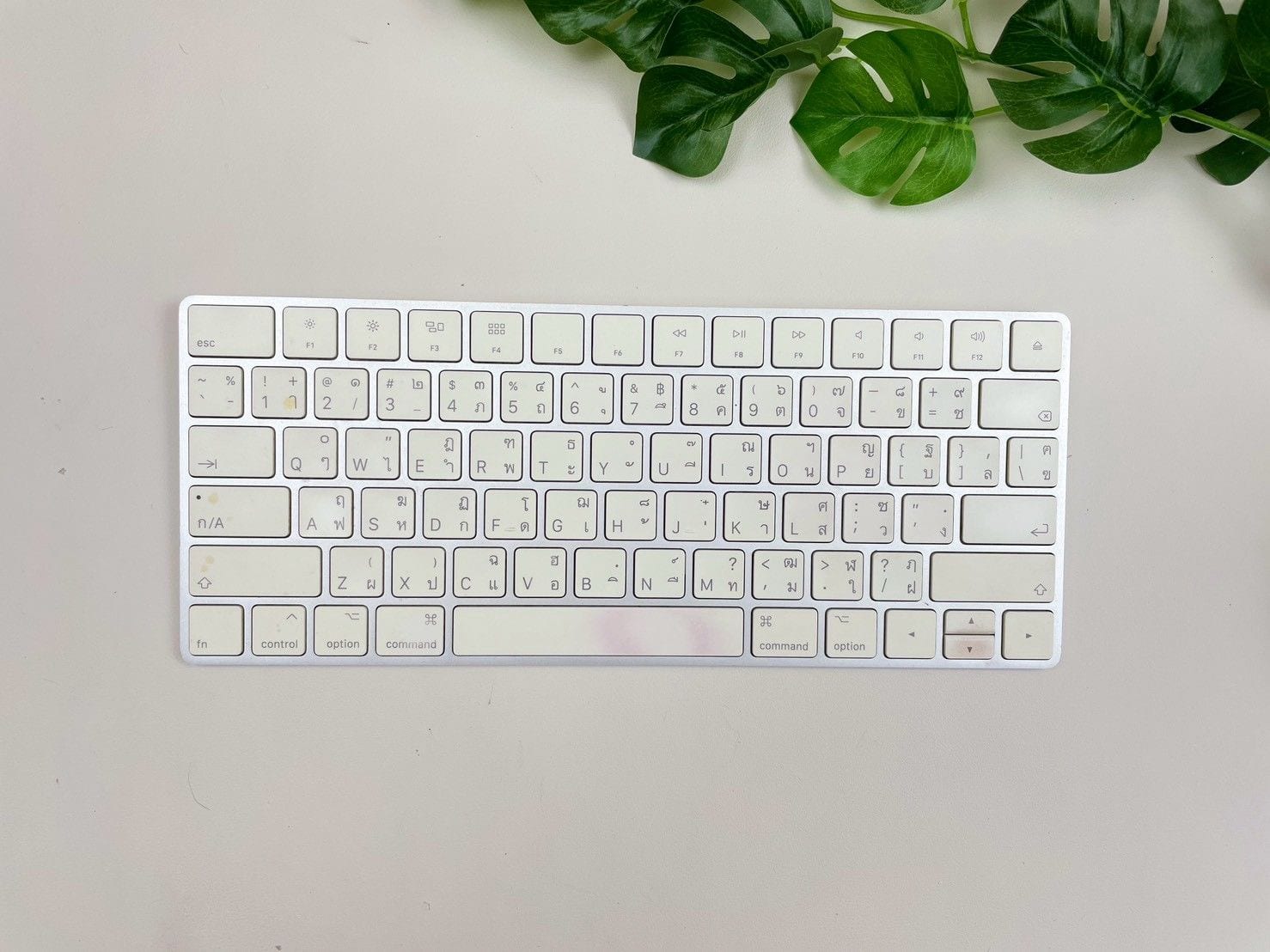Magic Keyboard