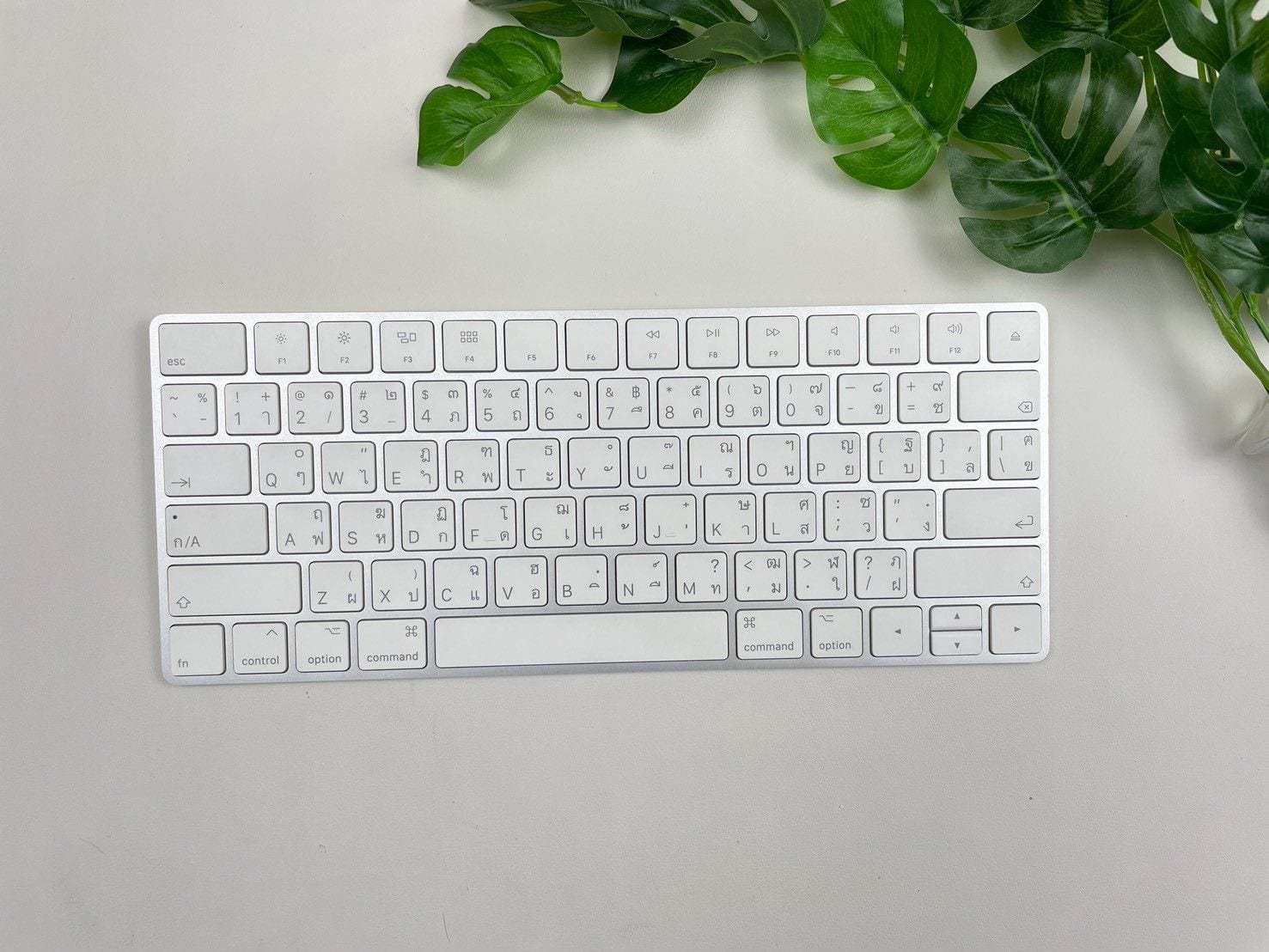 Magic Keyboard