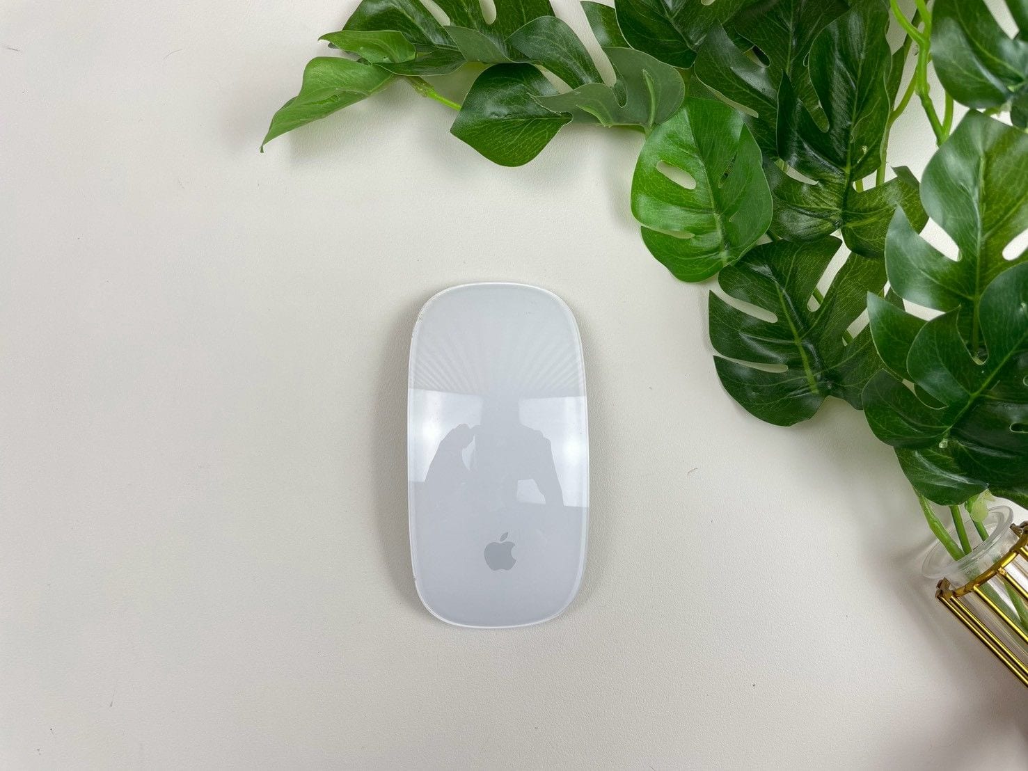 Magic Mouse