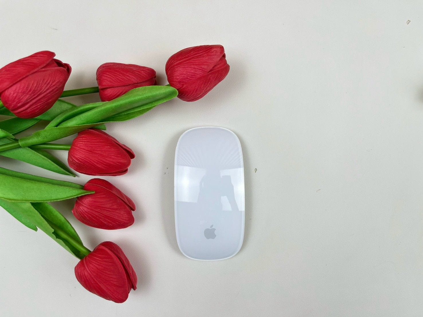 Magic Mouse