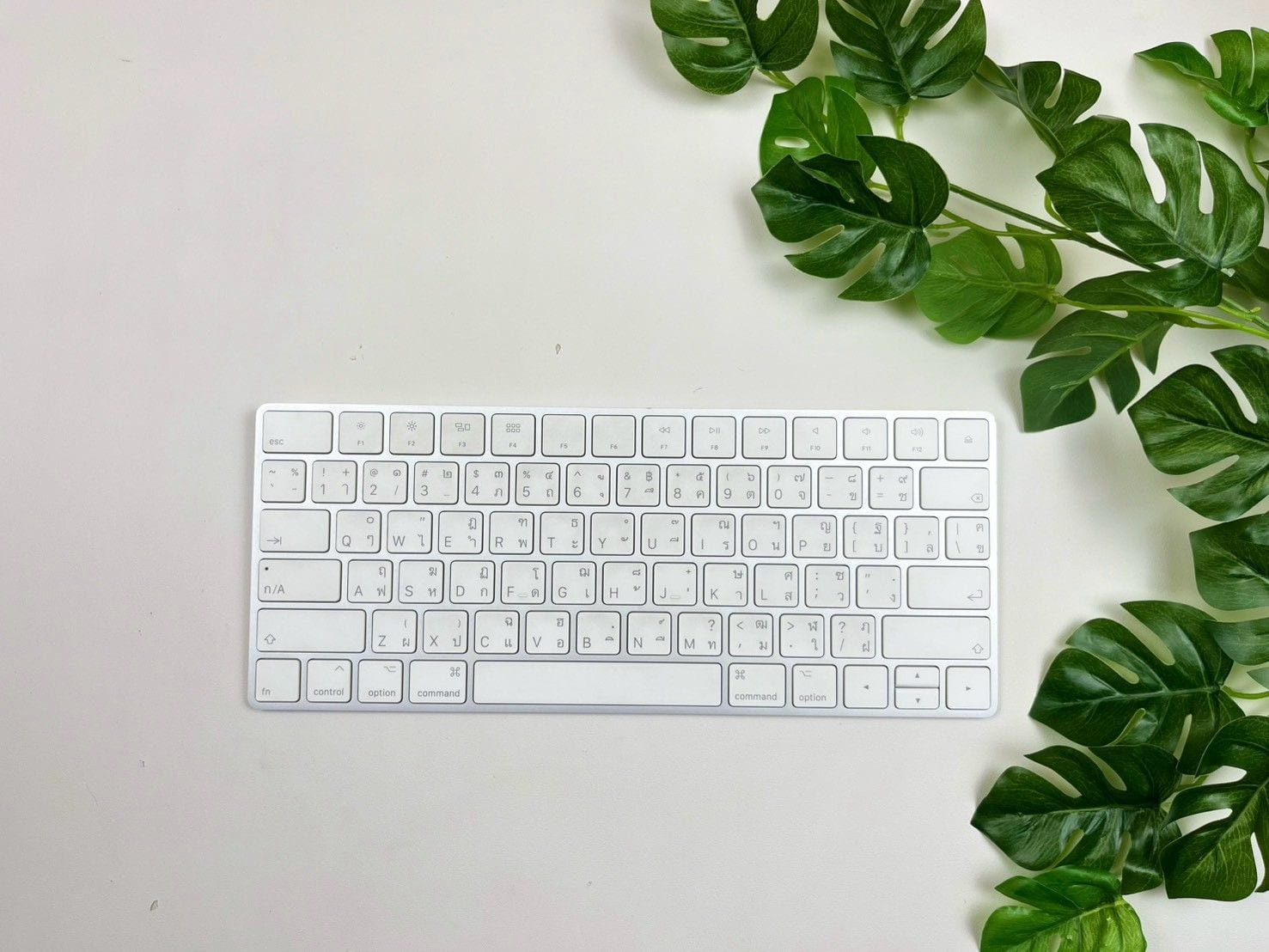 Magic Keyboard