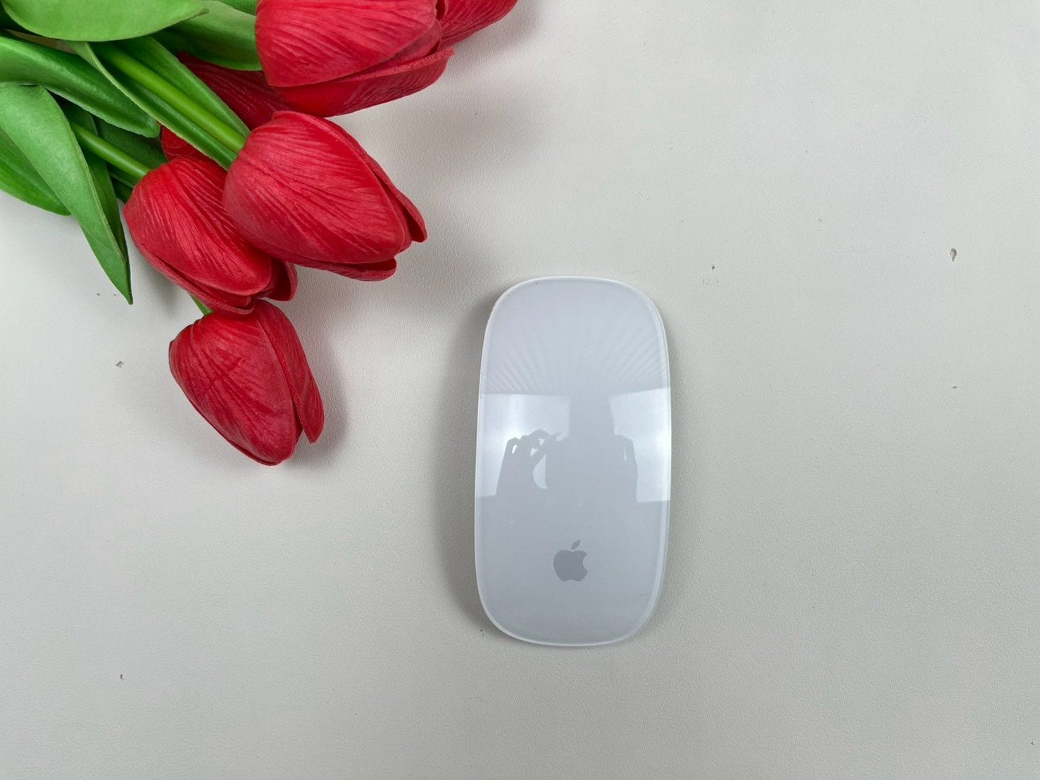 Magic Mouse