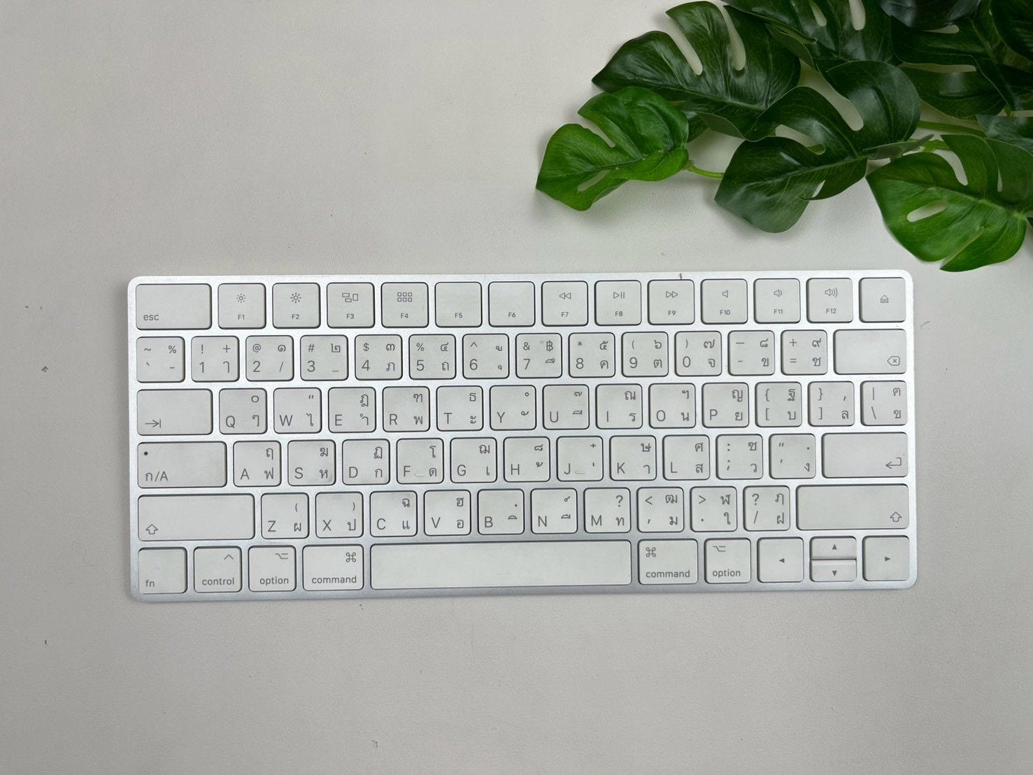 Magic Keyboard