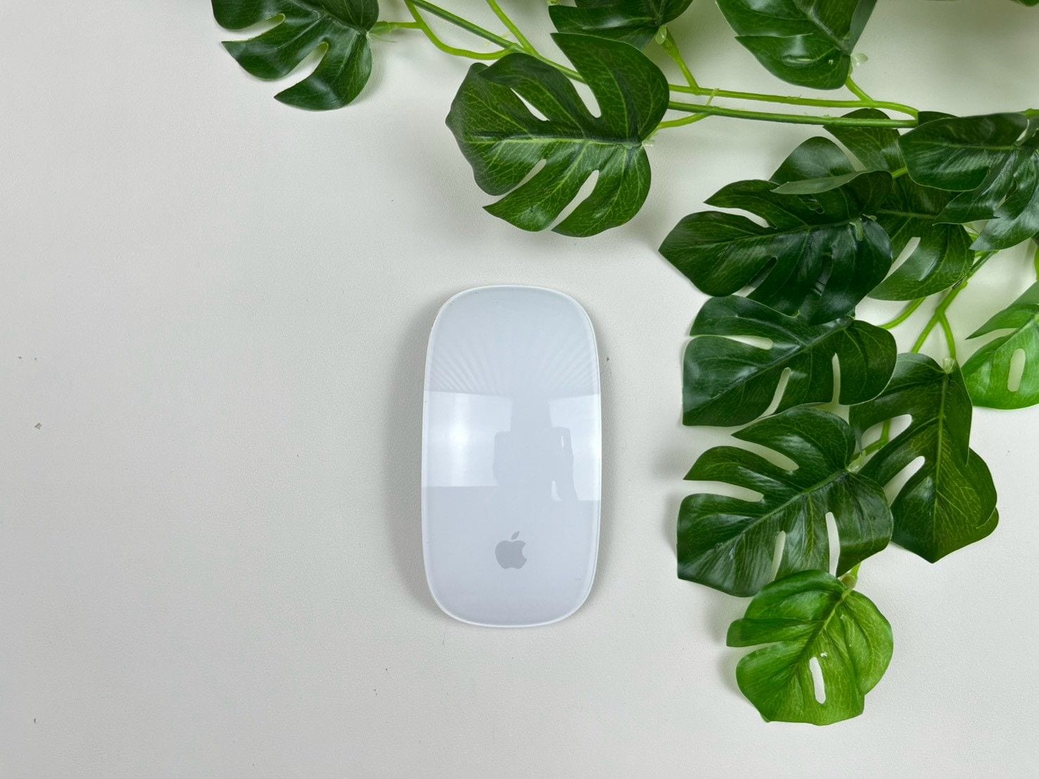 Magic Mouse