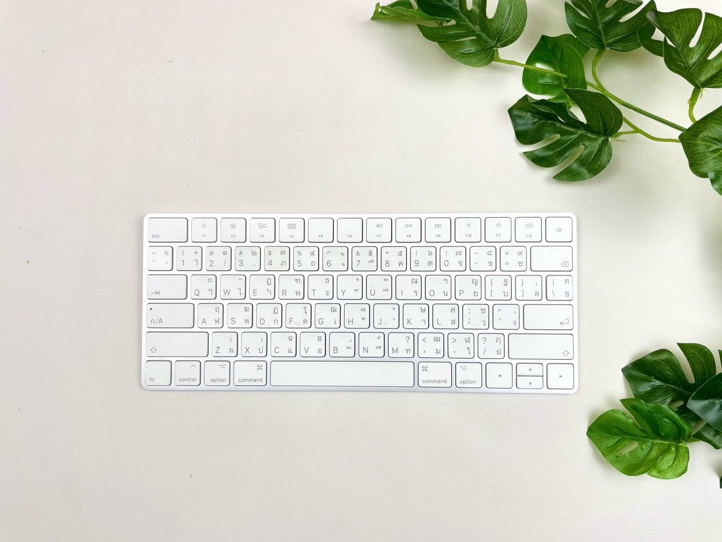 Magic Keyboard