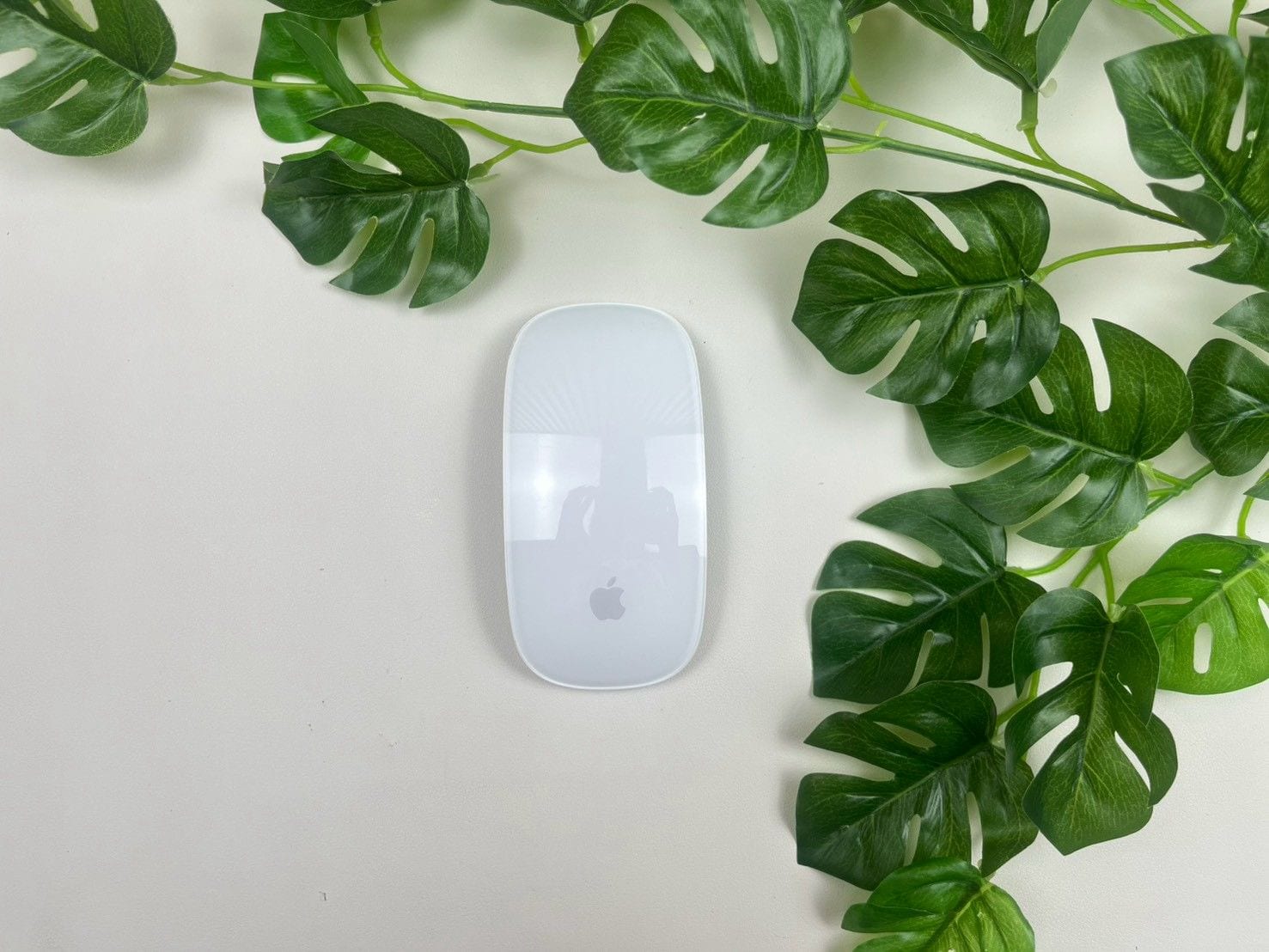 Magic Mouse