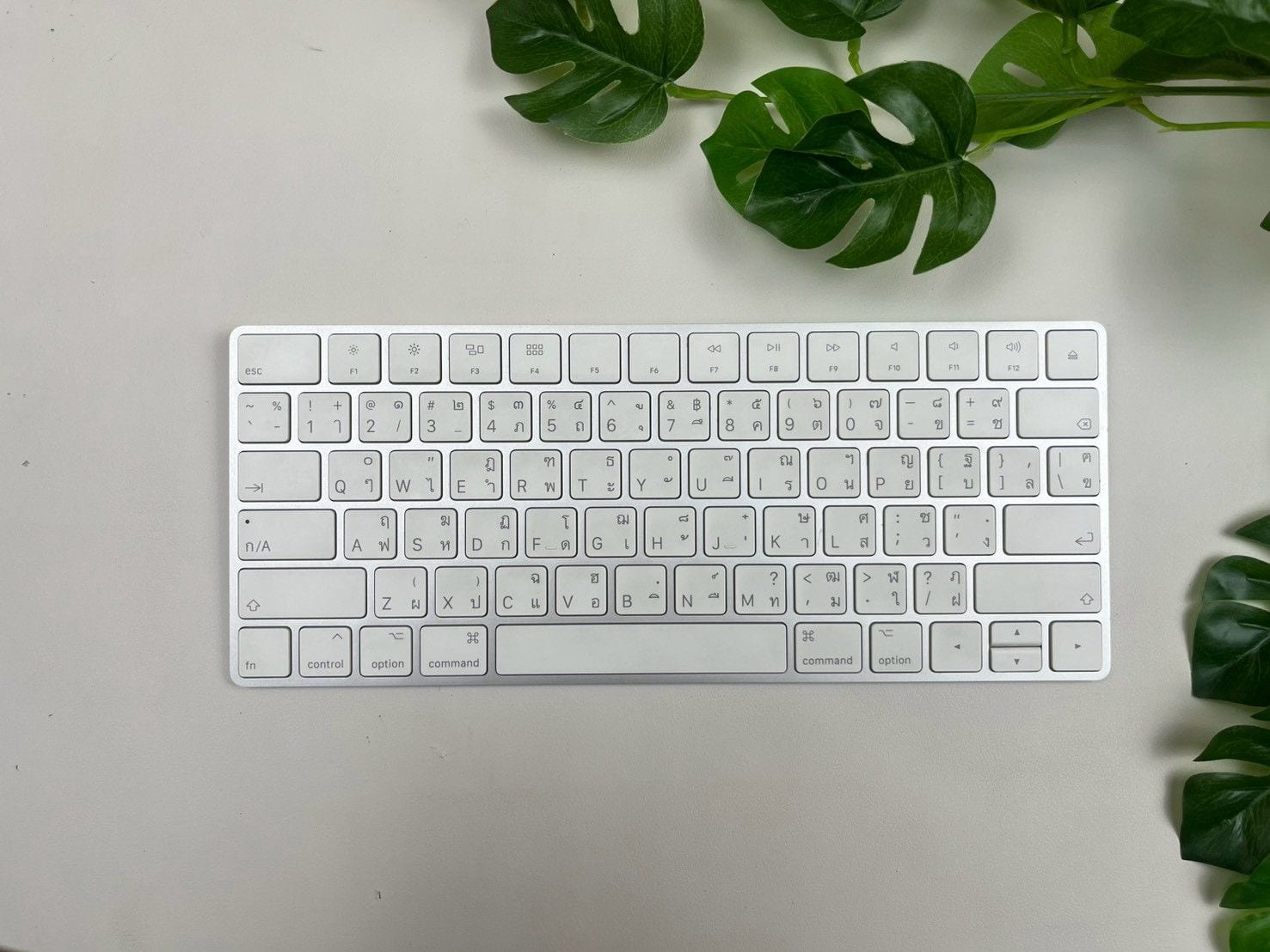 Magic Keyboard