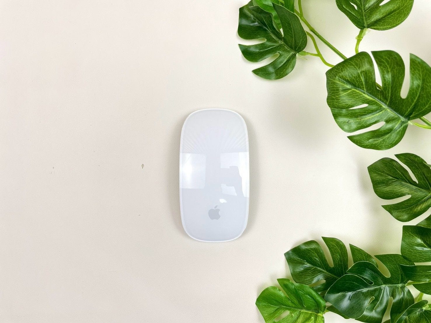 Magic Mouse