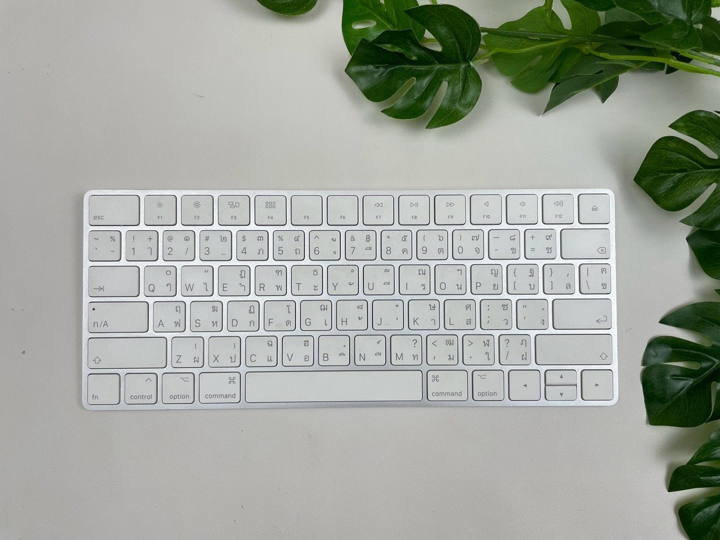 Magic Keyboard