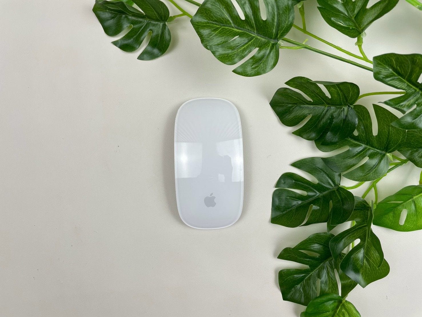 Magic Mouse