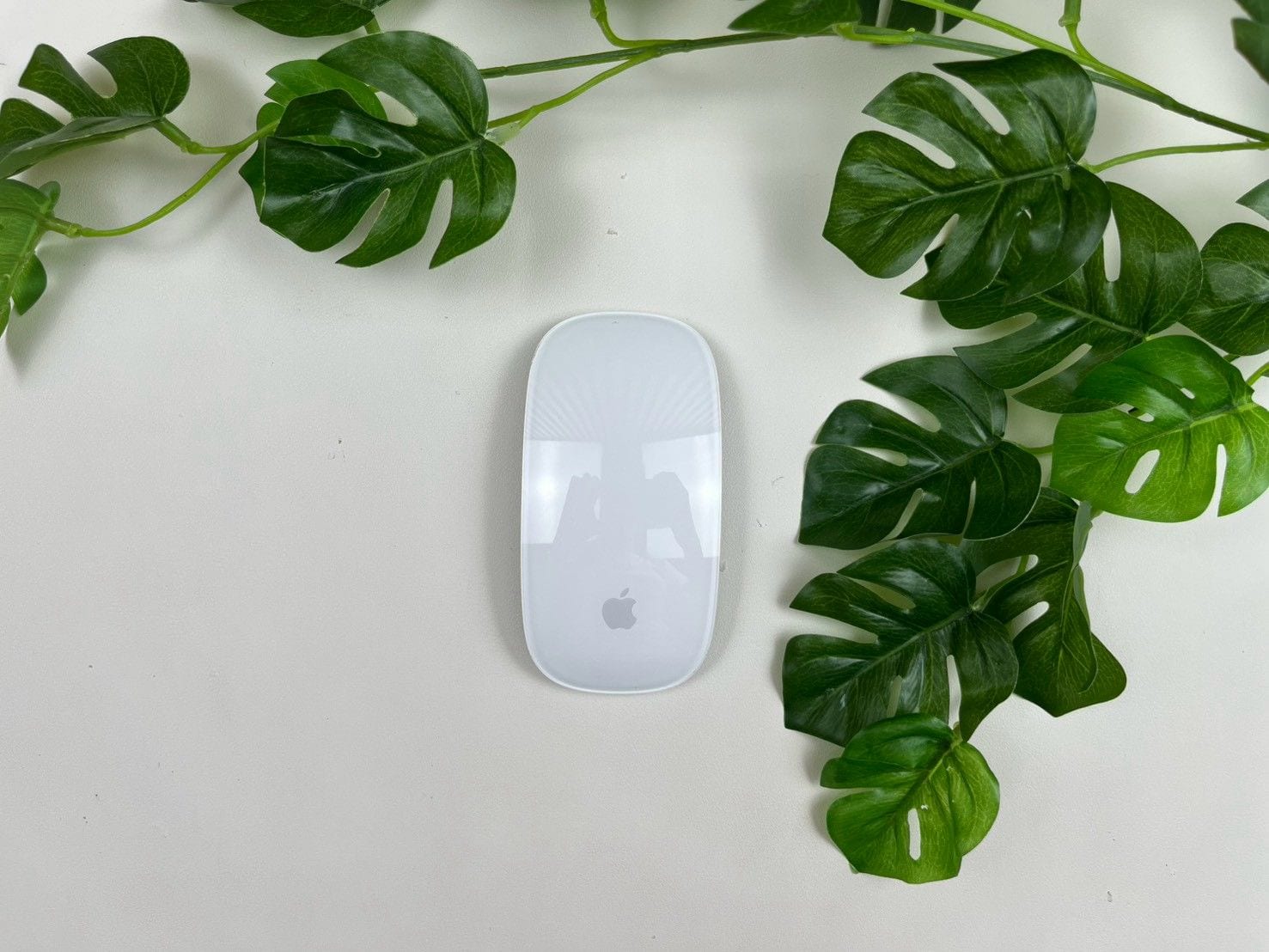 Magic Mouse