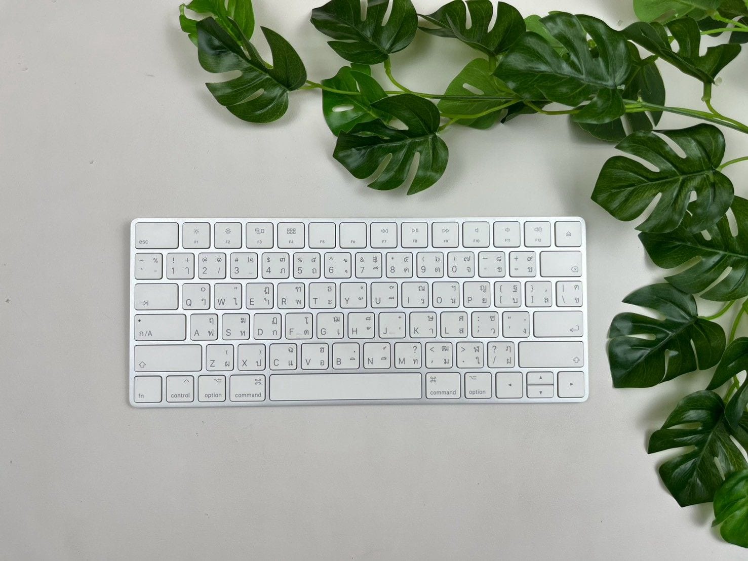 Magic Keyboard