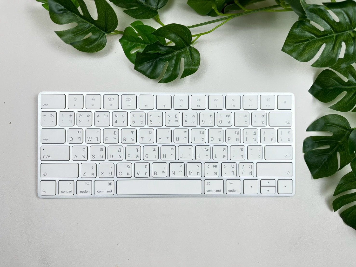 Magic Keyboard